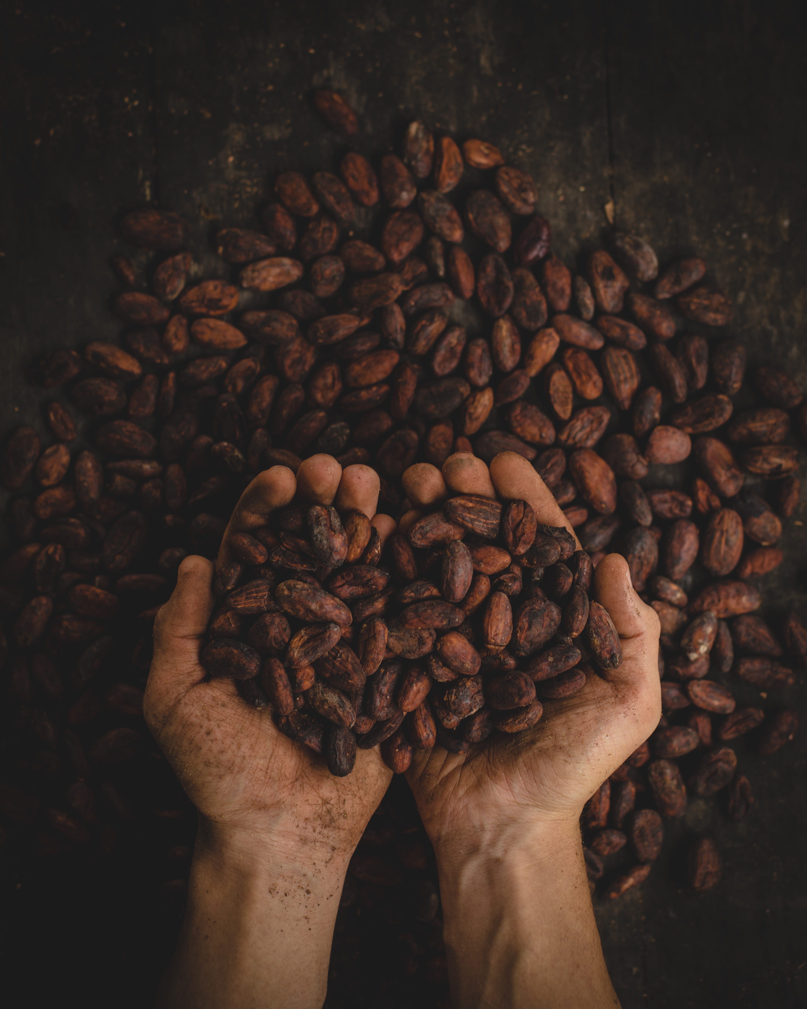 hand, human hand, coffee Bean, coffee Crop, person, cappuccino, dried, beans, day, drink, mocha, hands cupped, one person, human body part, body part, raw coffee bean, Phone HD Wallpaper