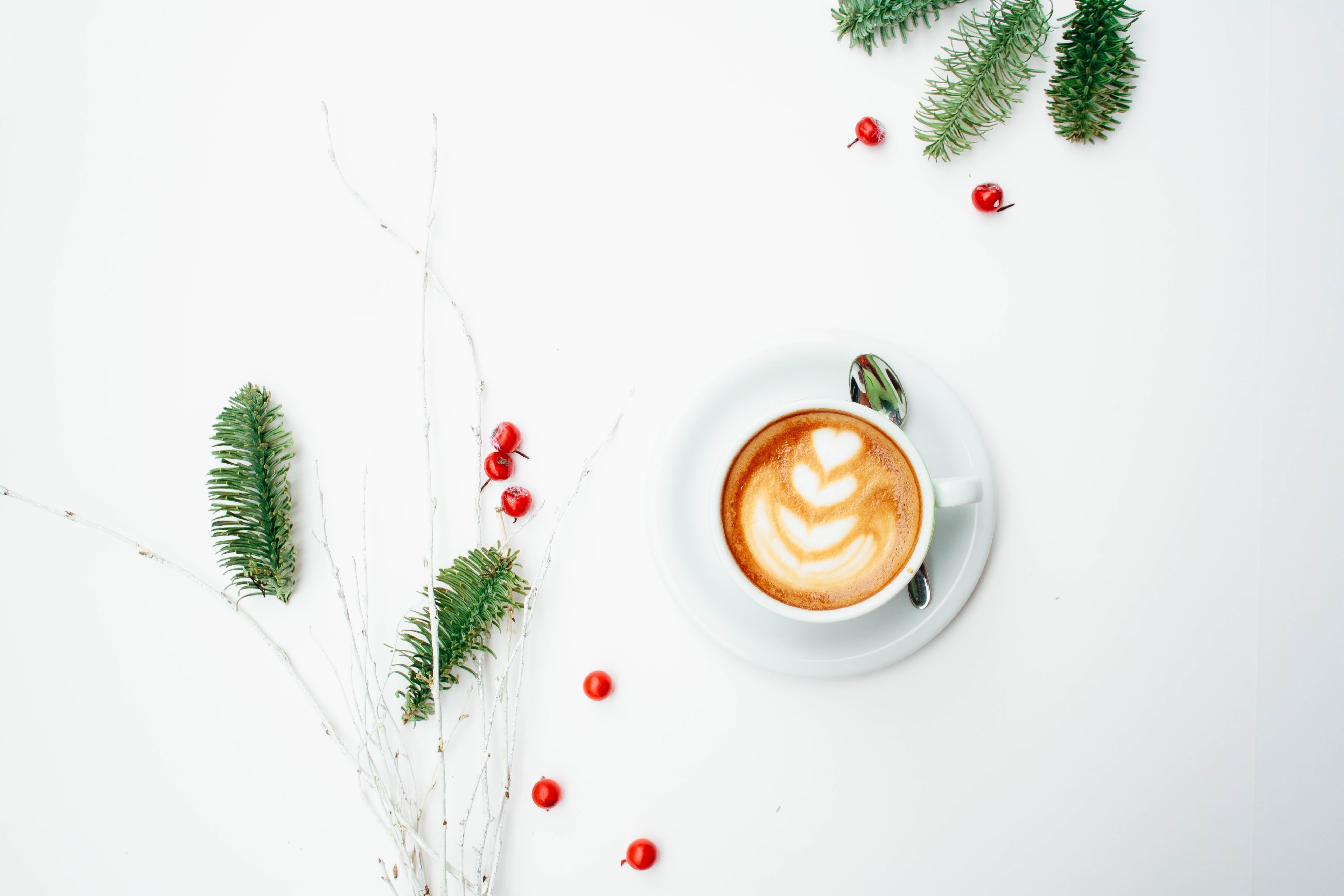 seed, white color, refreshment, winter, bean, brown, cafe, fir tree, frothy drink, food, coffee, still life, view, mug, food and drink, ceramic, christmas tree, HD Wallpaper