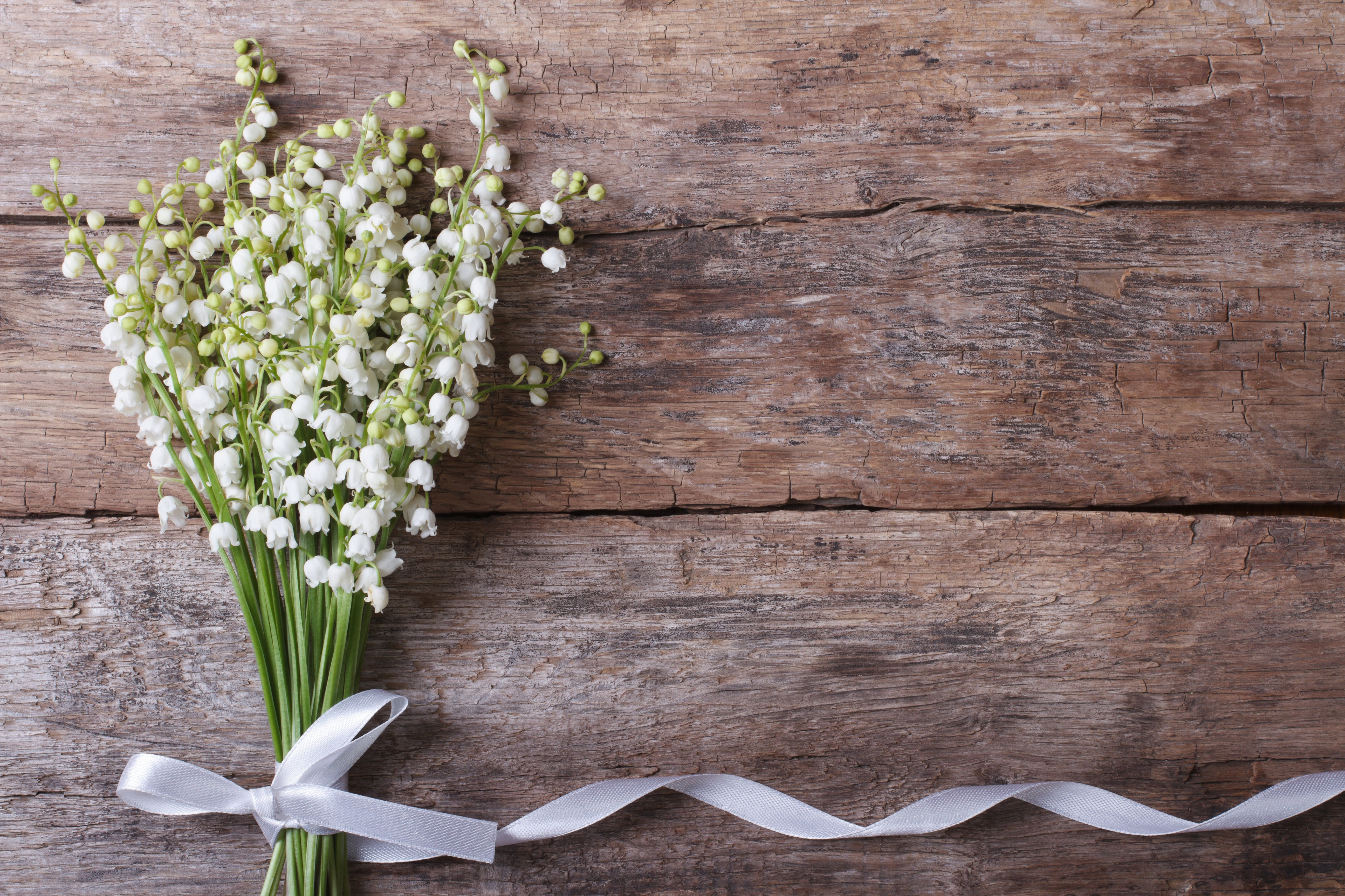 fragility, lily-of-the-valley, space, 5K, inflorescence, romance, bunch, white, plant, beauty in nature, wood - Material, love, flowering plant, plank, HD Wallpaper