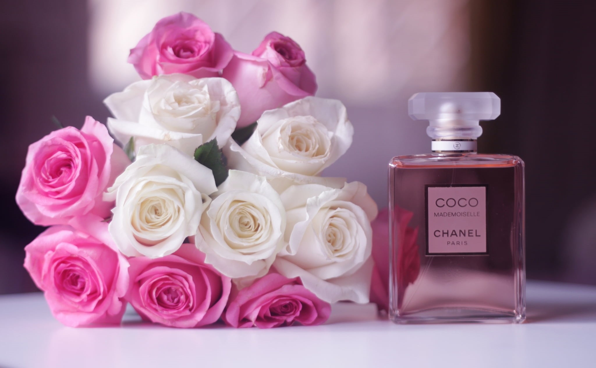 single Flower, paris, arrangement, fashion, rose, bottled, petal, wedding, softness, elegance, bouquet, love, plant, beauty, white color, rose - Flower, HD Wallpaper