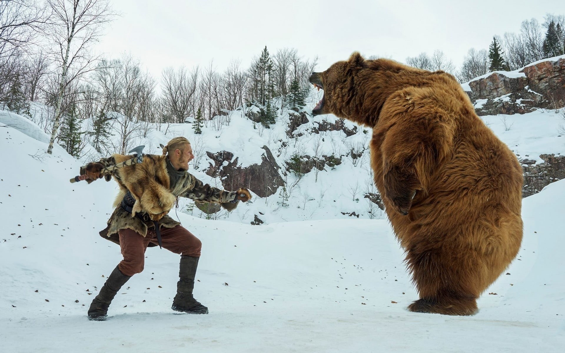 day, standing, axes, mammal, bears, land, pets, 1080P, animal, cold temperature, brown, winter, Vikings (TV series), warm clothing, domestic, domestic animals, HD Wallpaper