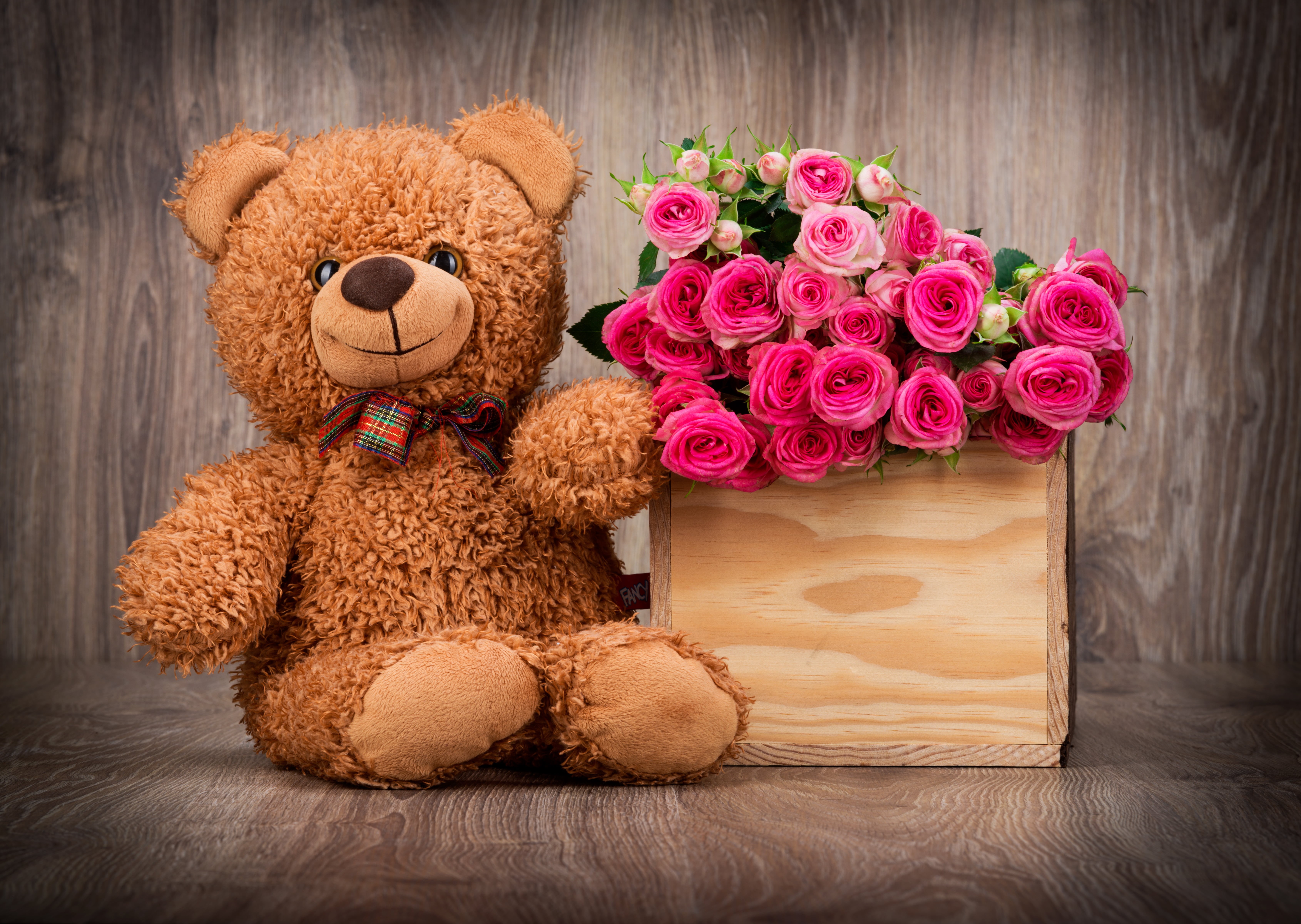roses, 5K, Teddy, bouquet, stuffed toy, rose, flowering plant, indoors, nature, teddy Bear, love, pink color, childhood, close-up, flower, pink, basket, HD Wallpaper