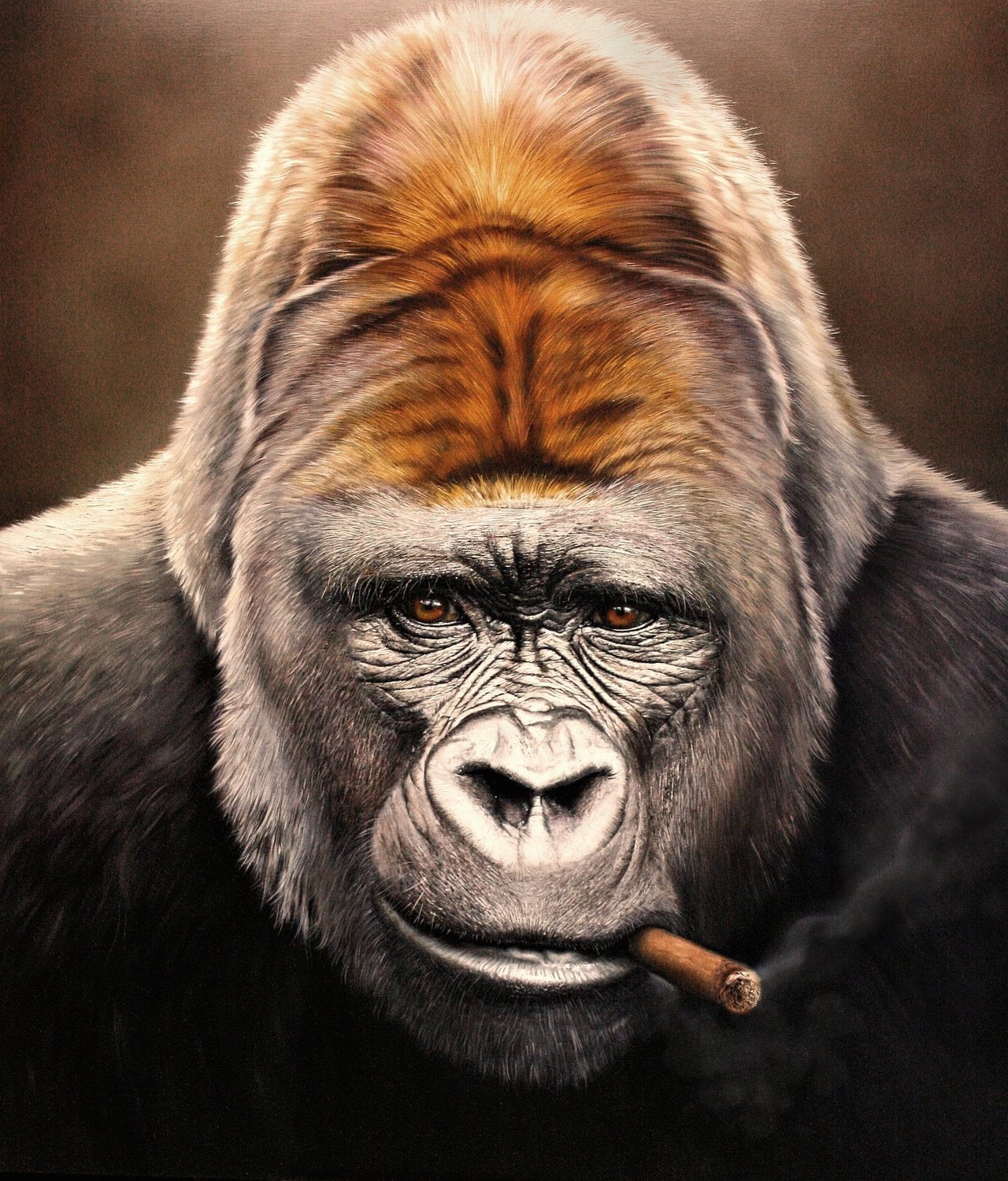 mammal, no people, Christiane Vleugels, black, portrait, close-up, one animal, brown, primate, male animal, looking at camera, Photorealistic, cat, animals in the wild, Phone HD Wallpaper