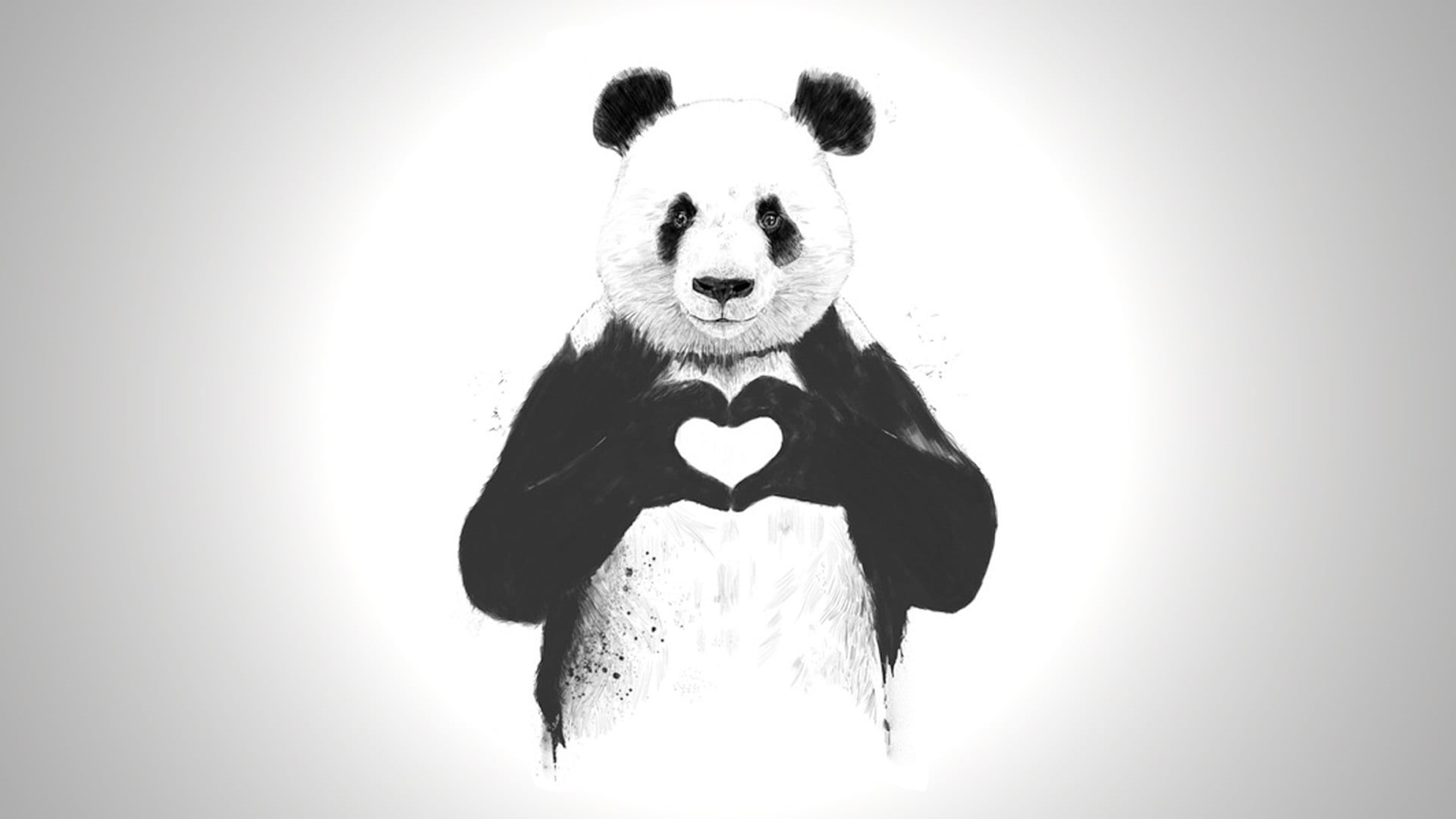portrait, animal wildlife, animal themes, white background, indoors, bear, heart, cut out, no people, front view, animal representation, animal head, HD Wallpaper