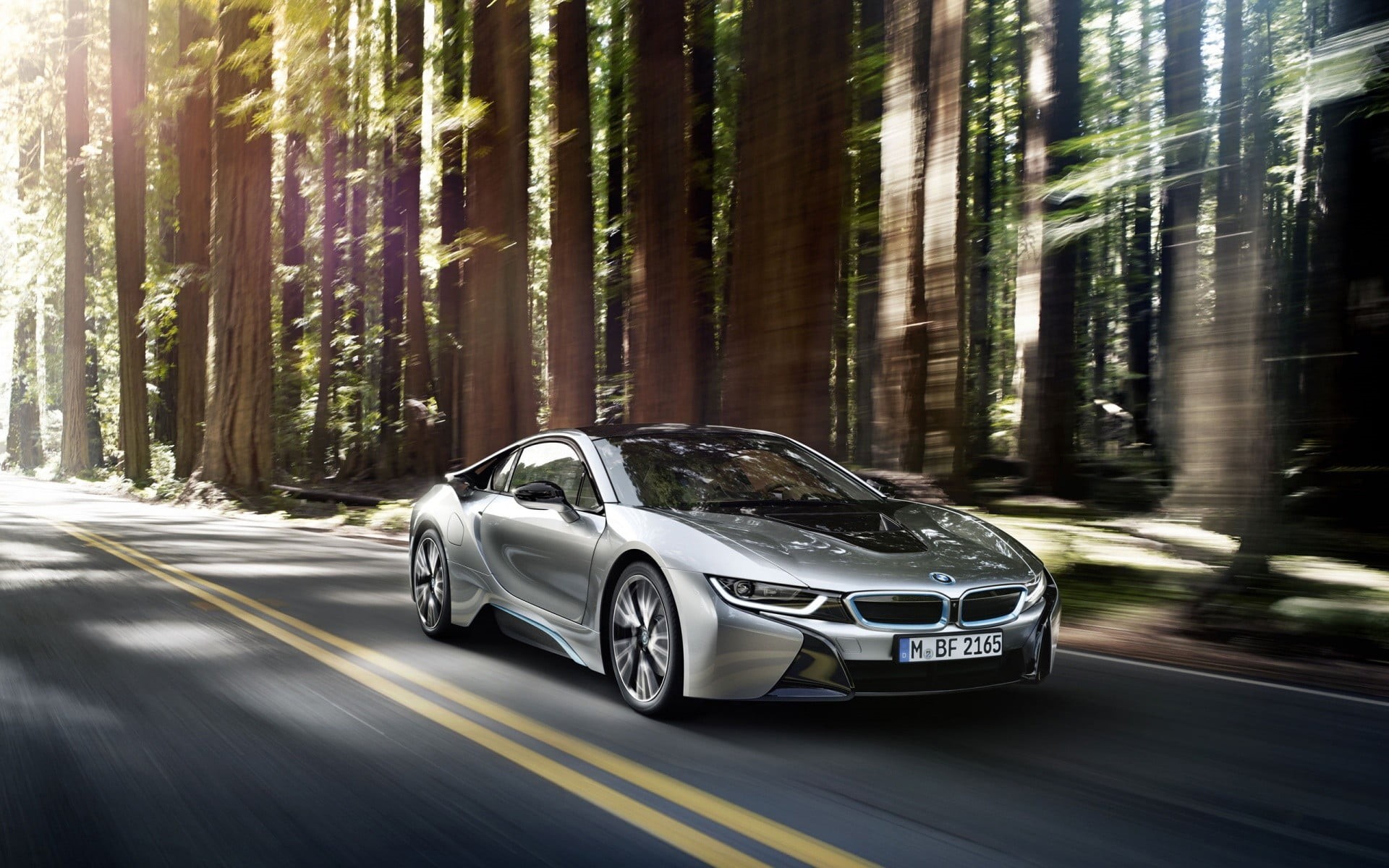 1080P, trees, vehicle, motion, forest, motor vehicle, no people, silver cars, city, sports car, luxury, speed, mode of transportation, wealth, nature, HD Wallpaper