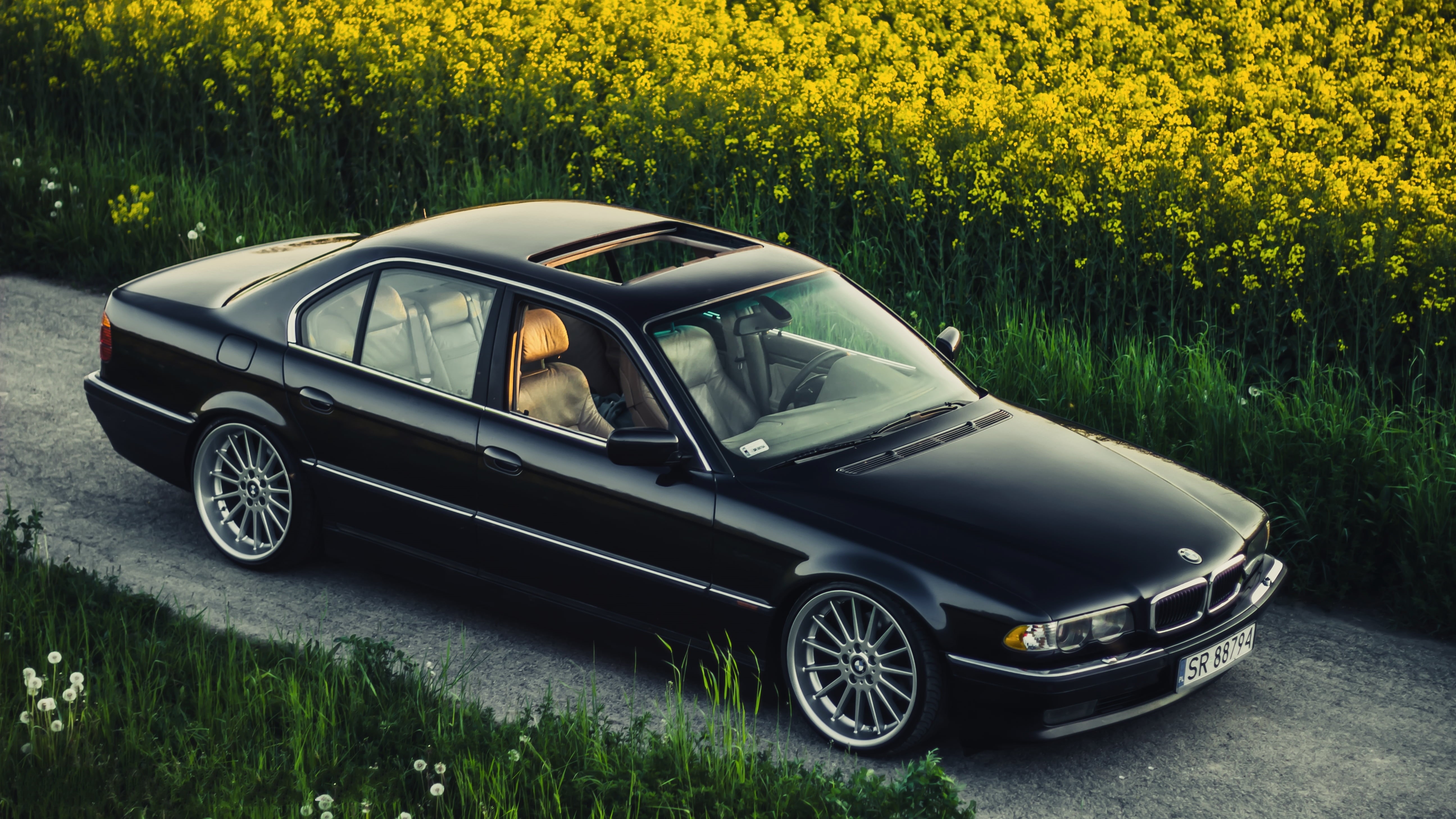 green Color, transportation, canola, meadow, springtime, tree, series, fuel and Power Generation, non-Urban Scene, 740iA, road, oilseed Rape, day, 5K, HD Wallpaper