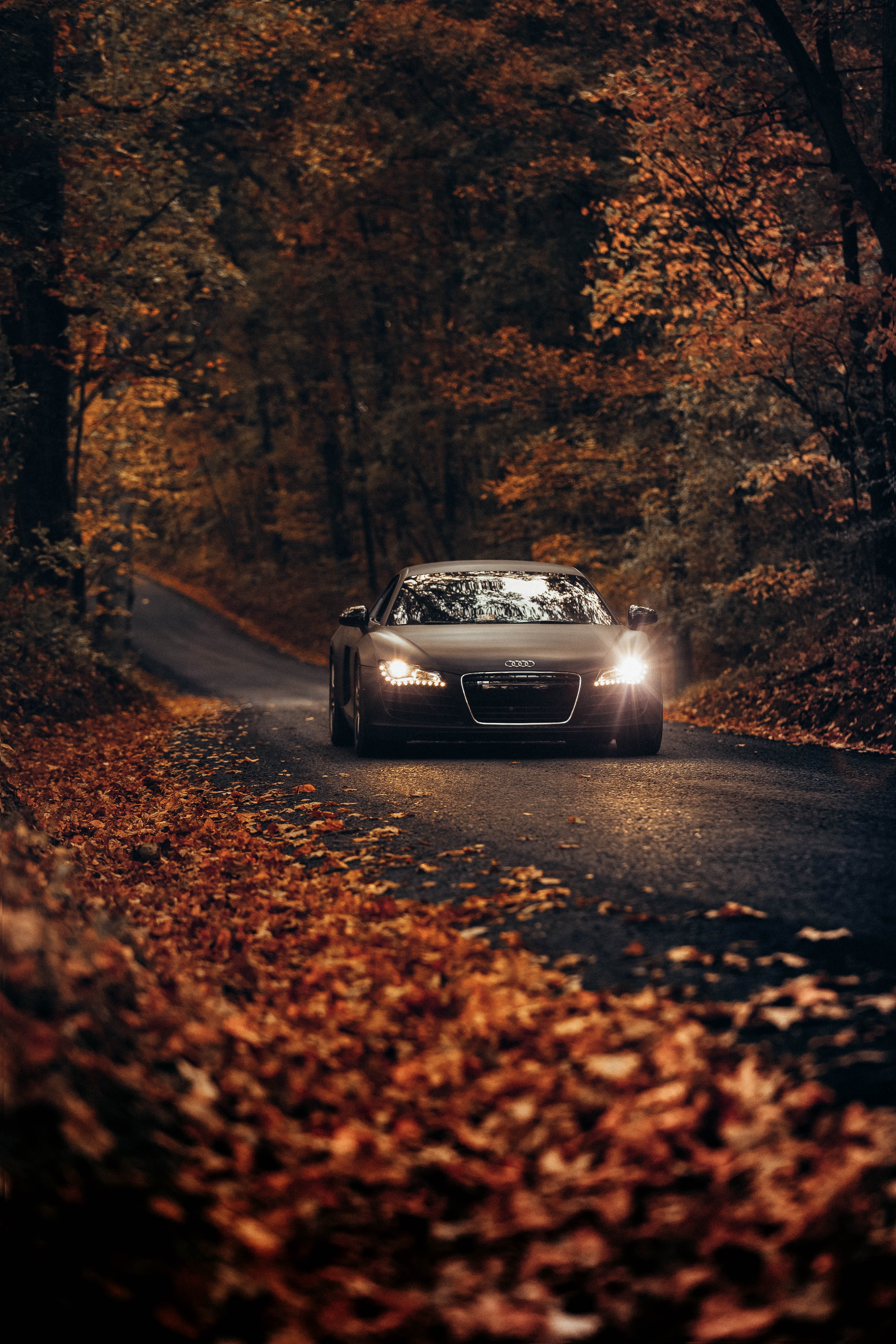 transportation, autumn drife, crisp, outdoors, country road, fast car, day, outonho, fall, automotive, leaf, nature, change, autumn, fall car, tree, motorsport, Phone HD Wallpaper