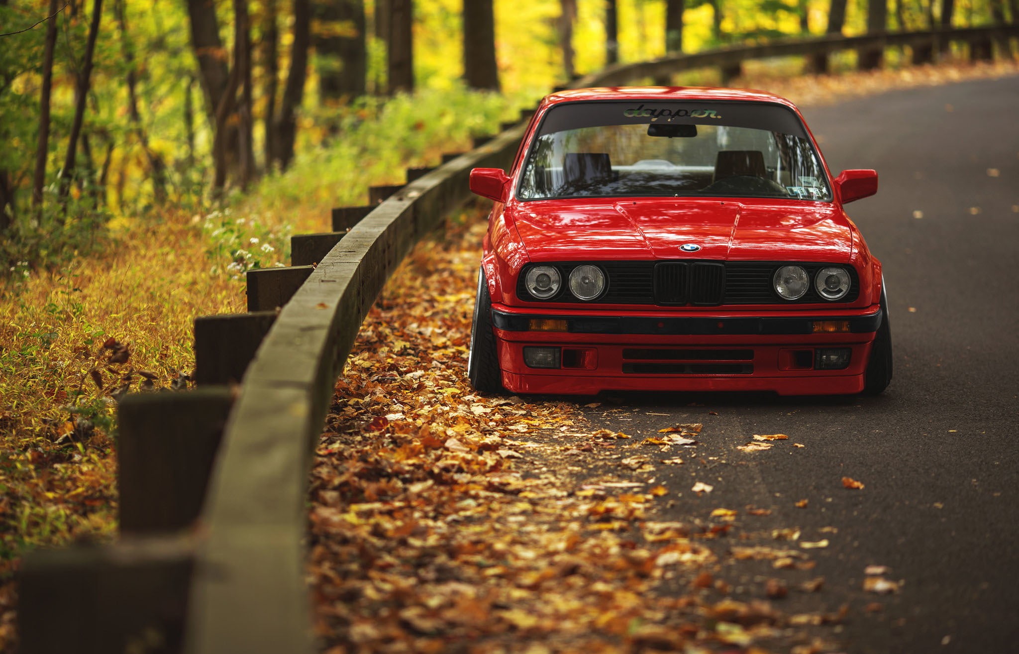 leaf, land, red, car, motor vehicle, road, leaves, no people, outdoors, E30, field, 1080P, change, autumn, plant, selective focus, tree, mode of transportation, HD Wallpaper