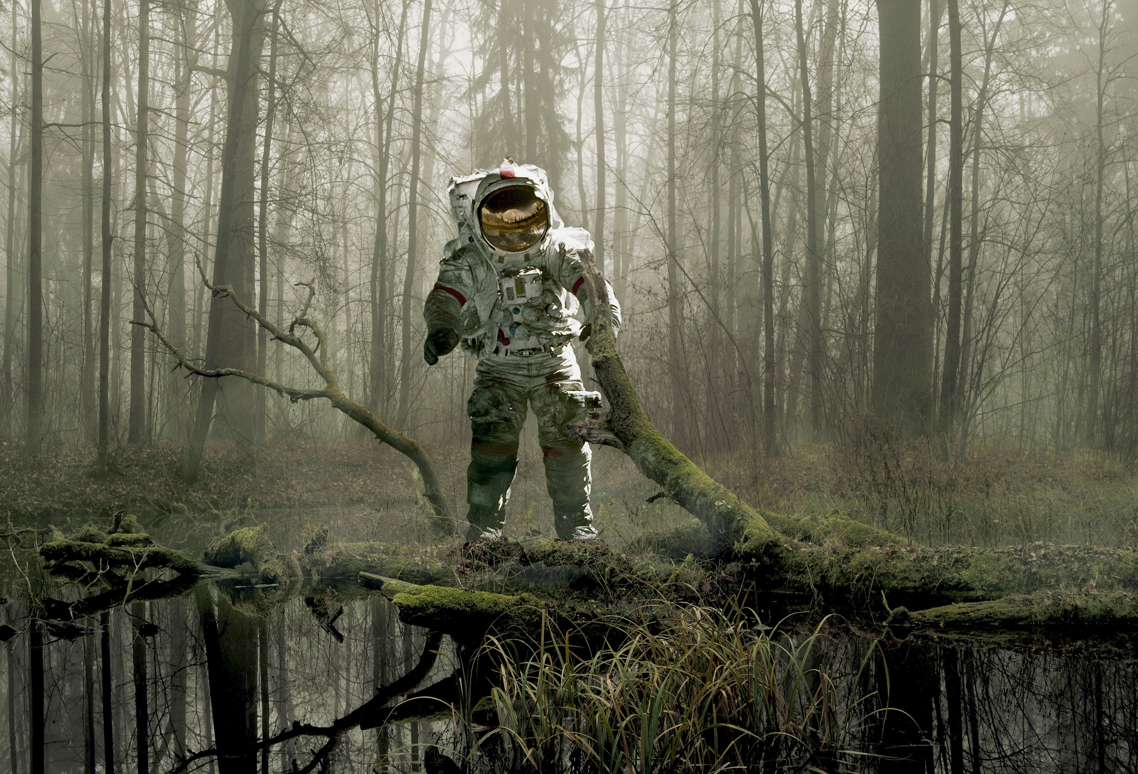Forest, Earth, d, Space suit, 4K, Astronaut, trees, 4K, HD Wallpaper