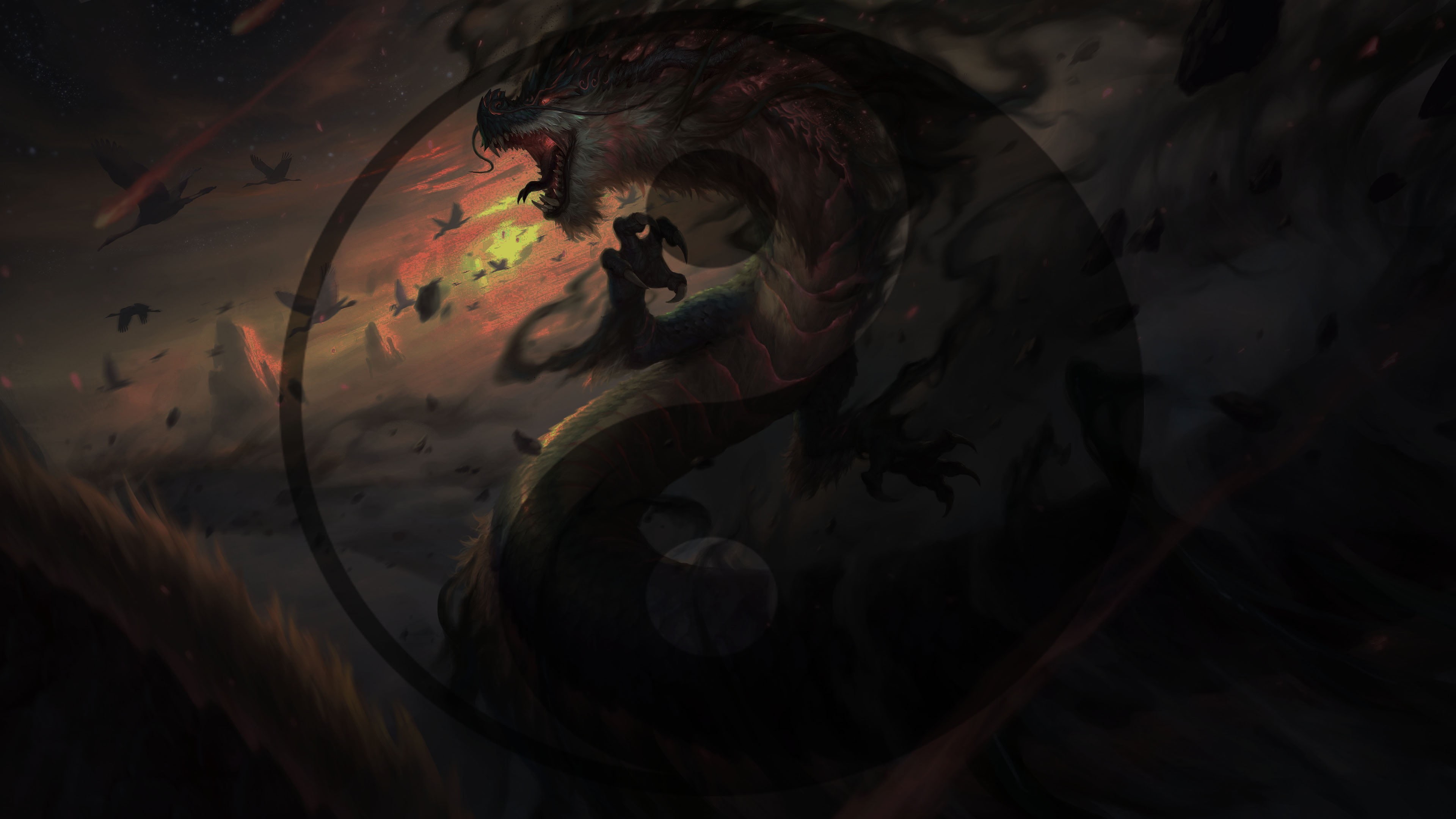 dragon, Taoism, 4K, Yin and Yang, HD Wallpaper