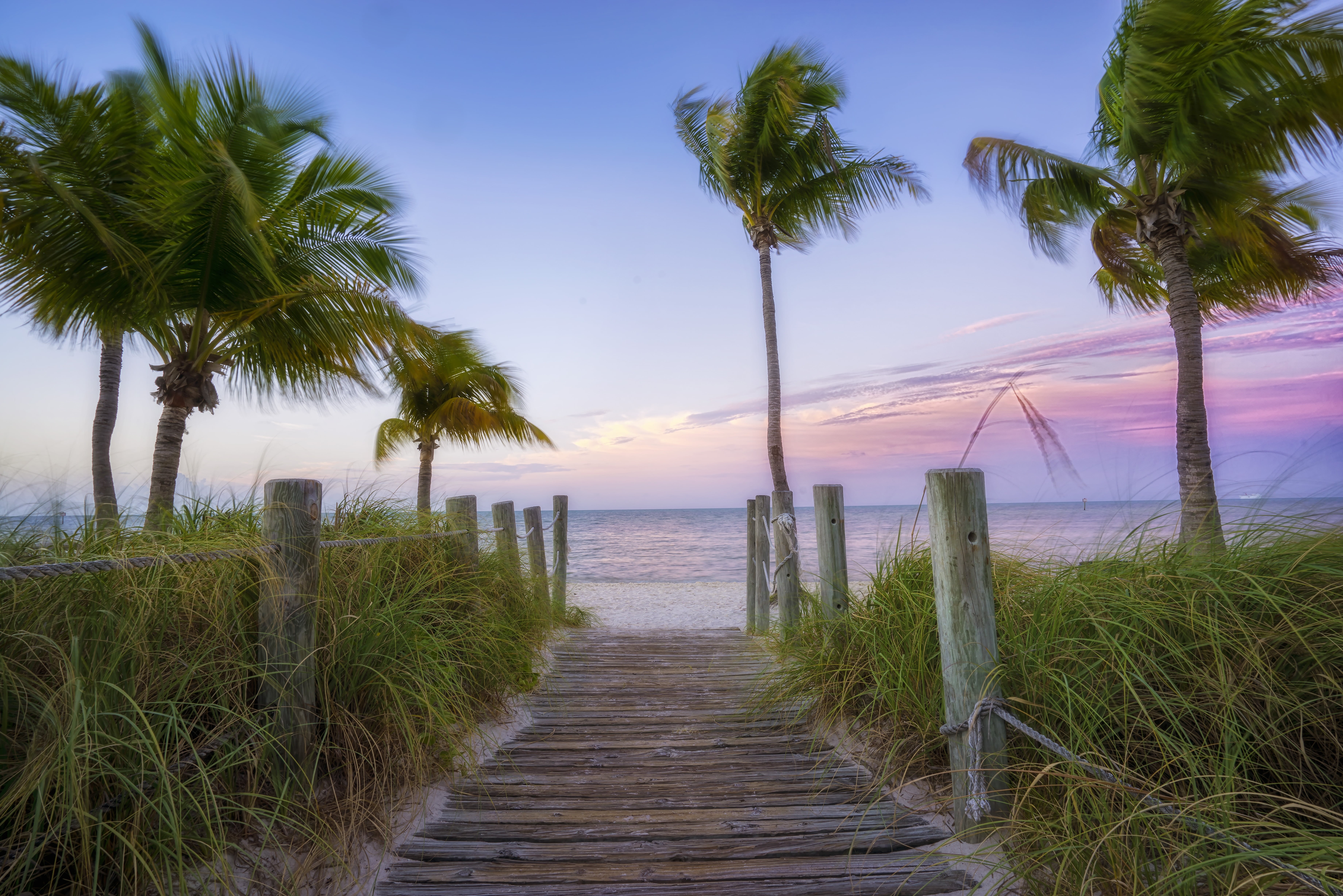 photography, Sky, near, 5K, Island  beach, Clouds, Morning, nature, Movement, water, west, Win, sea, body of water, Path, Palm  Trees, West  Island, beach, HD Wallpaper