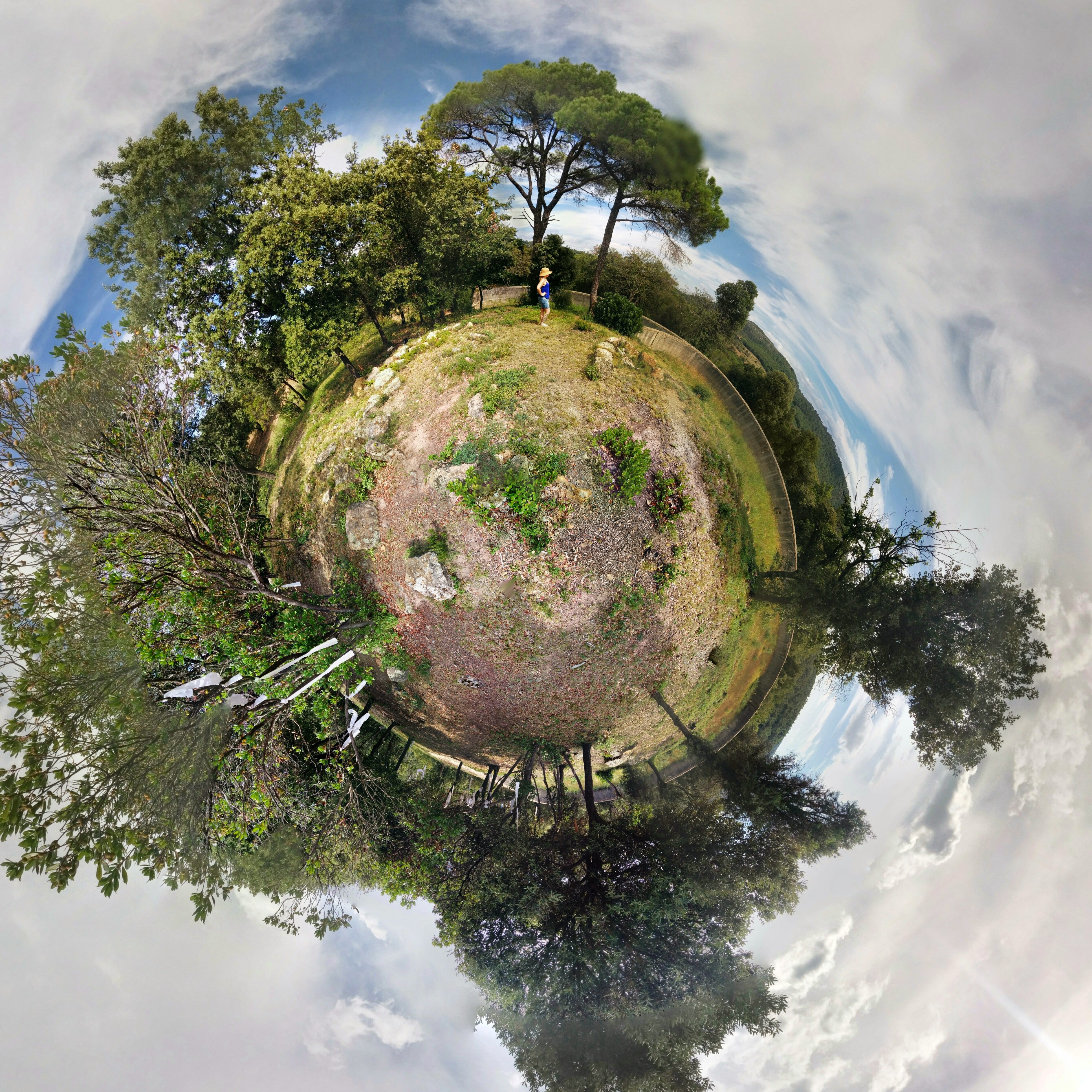 green natural, environmental, tree, cloud - sky, reflection, plant, green energy, growth, degree, forest, planet earth, solar, photography, fish-eye lens, Phone HD Wallpaper