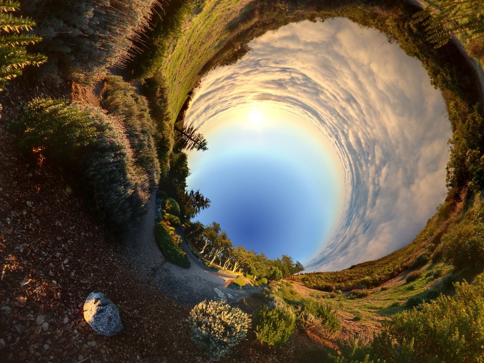 nature, land, tree, tranquil scene, green, sunlight, clouds, panoramic sphere, outdoors, circle, tranquility, cloud - sky, non-urban scene, trees, fish-eye lens, HD Wallpaper