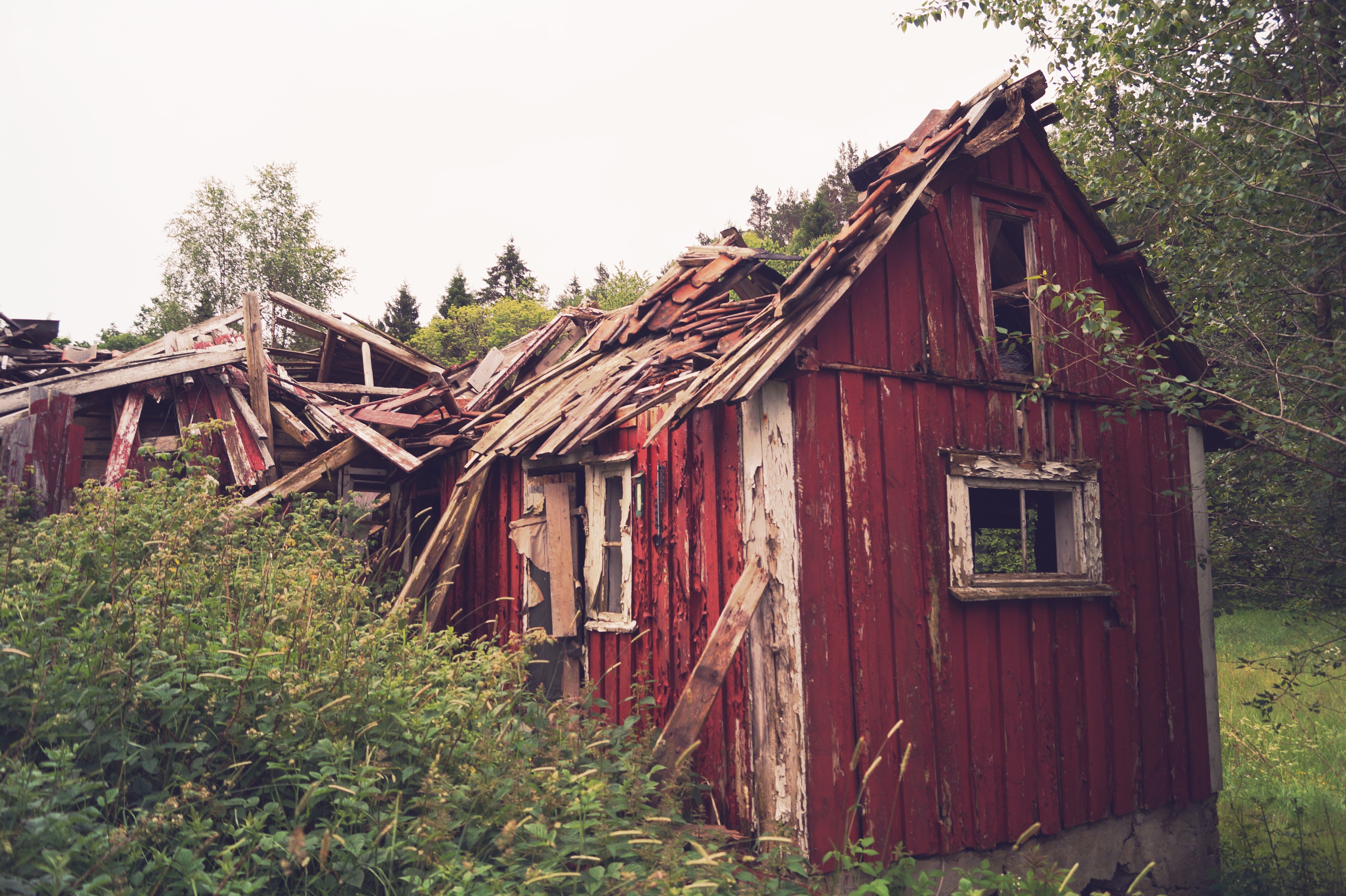 no people, cabin, residential district, wood, deterioration, abandoned, outdoors, tree, plant, old, ruin, nature, building, hut, 5K, destroyed, land, house, HD Wallpaper