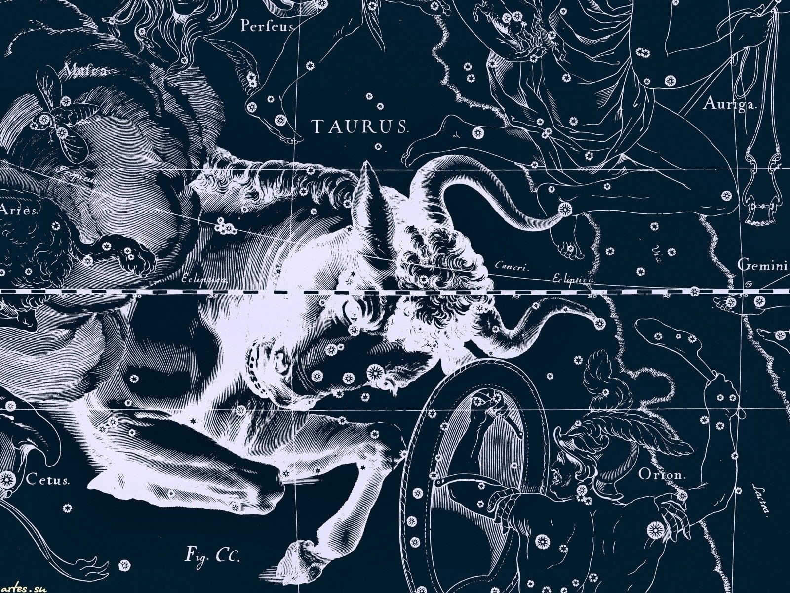 Zodiac, Horoscope, 720P, Taurus, Zodiac Sign, Fantasy, HD Wallpaper