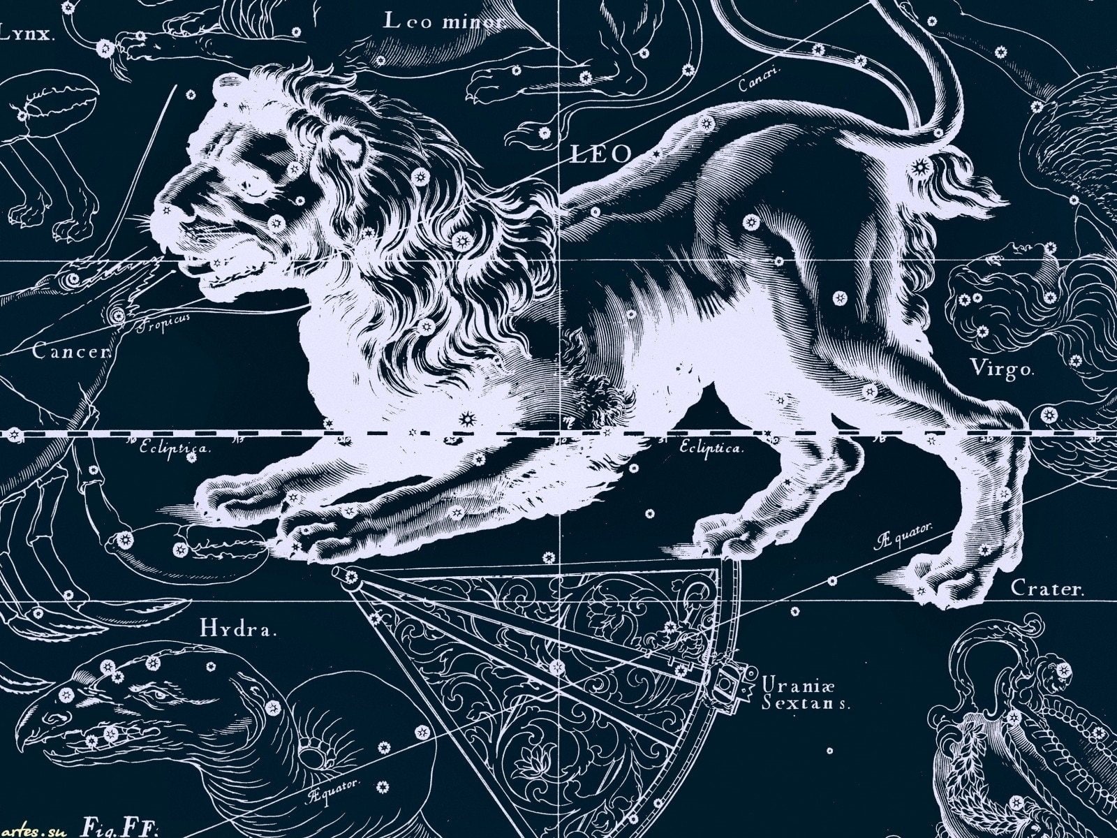 Zodiac, Leo (Astrology), Horoscope, Zodiac Sign, 720P, Fantasy, HD Wallpaper