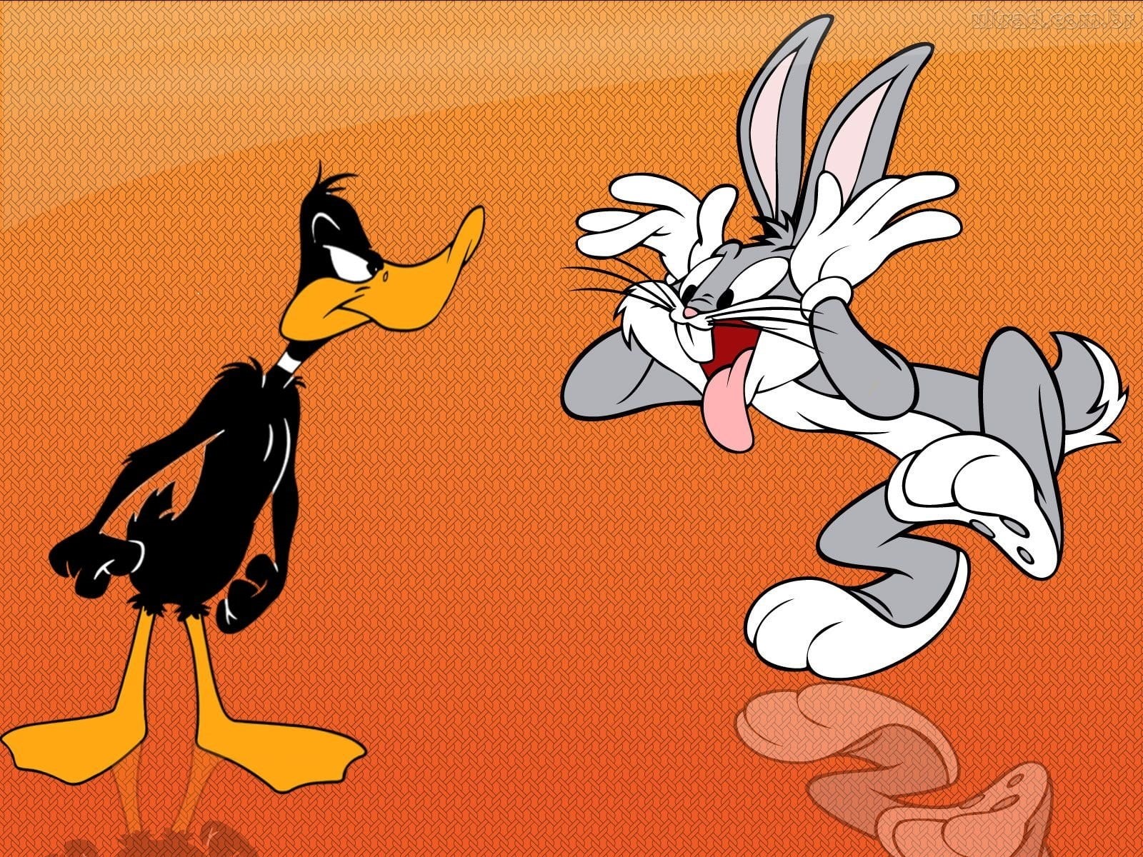 TV Show, astrology sign, Looney Tunes, indoors, representation, mammal, colored background, group of animals, animal representation, art and craft, animal themes, HD Wallpaper