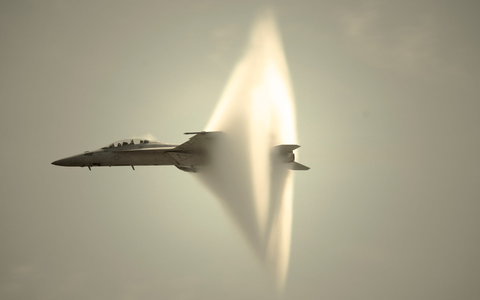singularity, 1080P, hornet, prandtlaeiglauert, HD Wallpaper