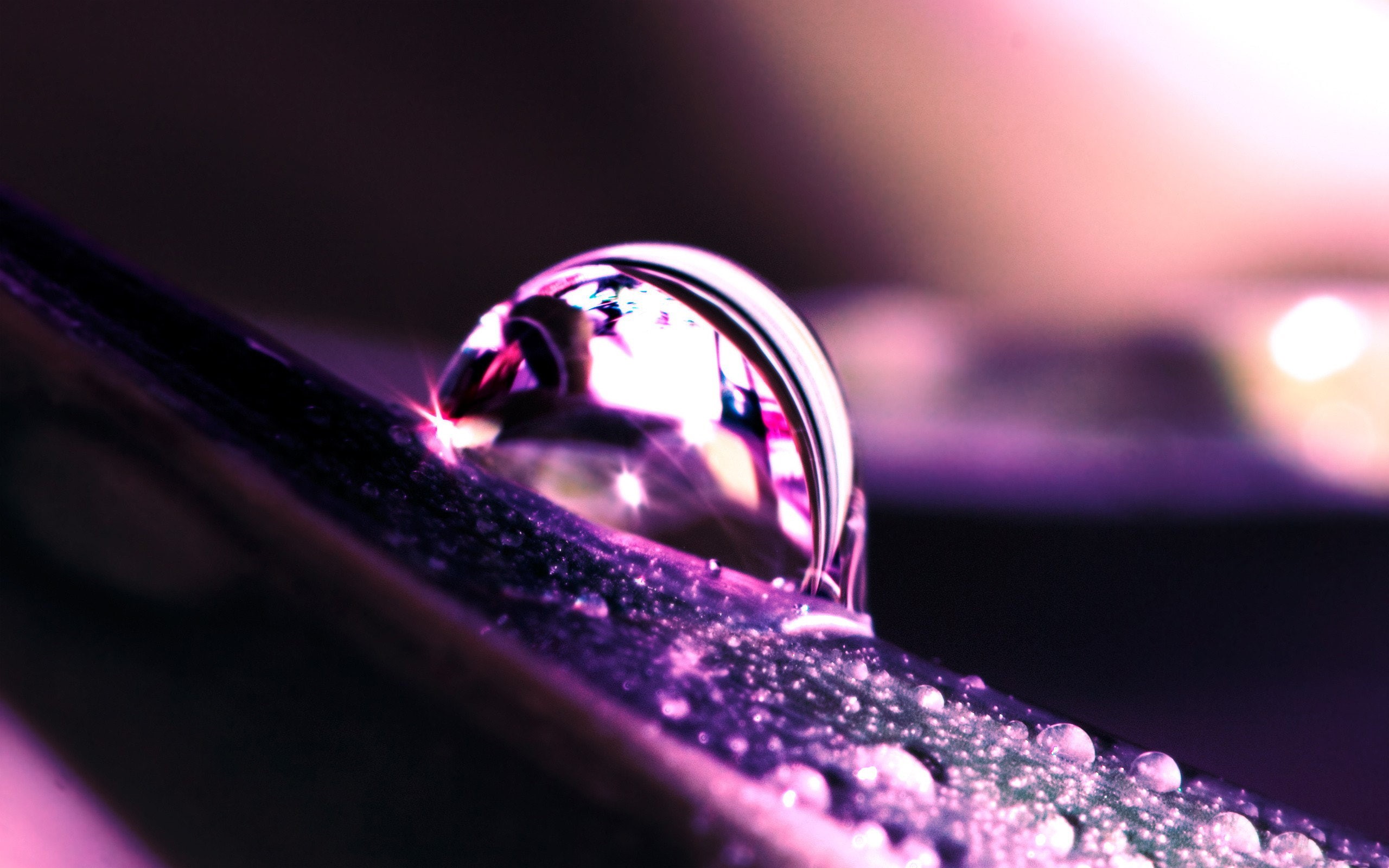 drop, singular, 2K, purple, HD Wallpaper