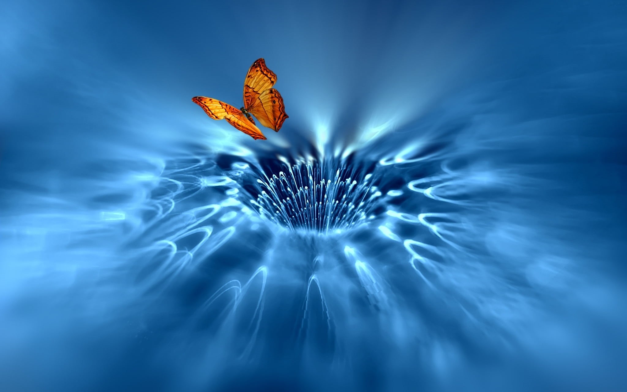 1080P, motion, outdoors, full frame, vulnerability, no people, beauty in nature, animal wildlife, fragility, butterfly, stream, illustration, orange, light - natural phenomenon, HD Wallpaper