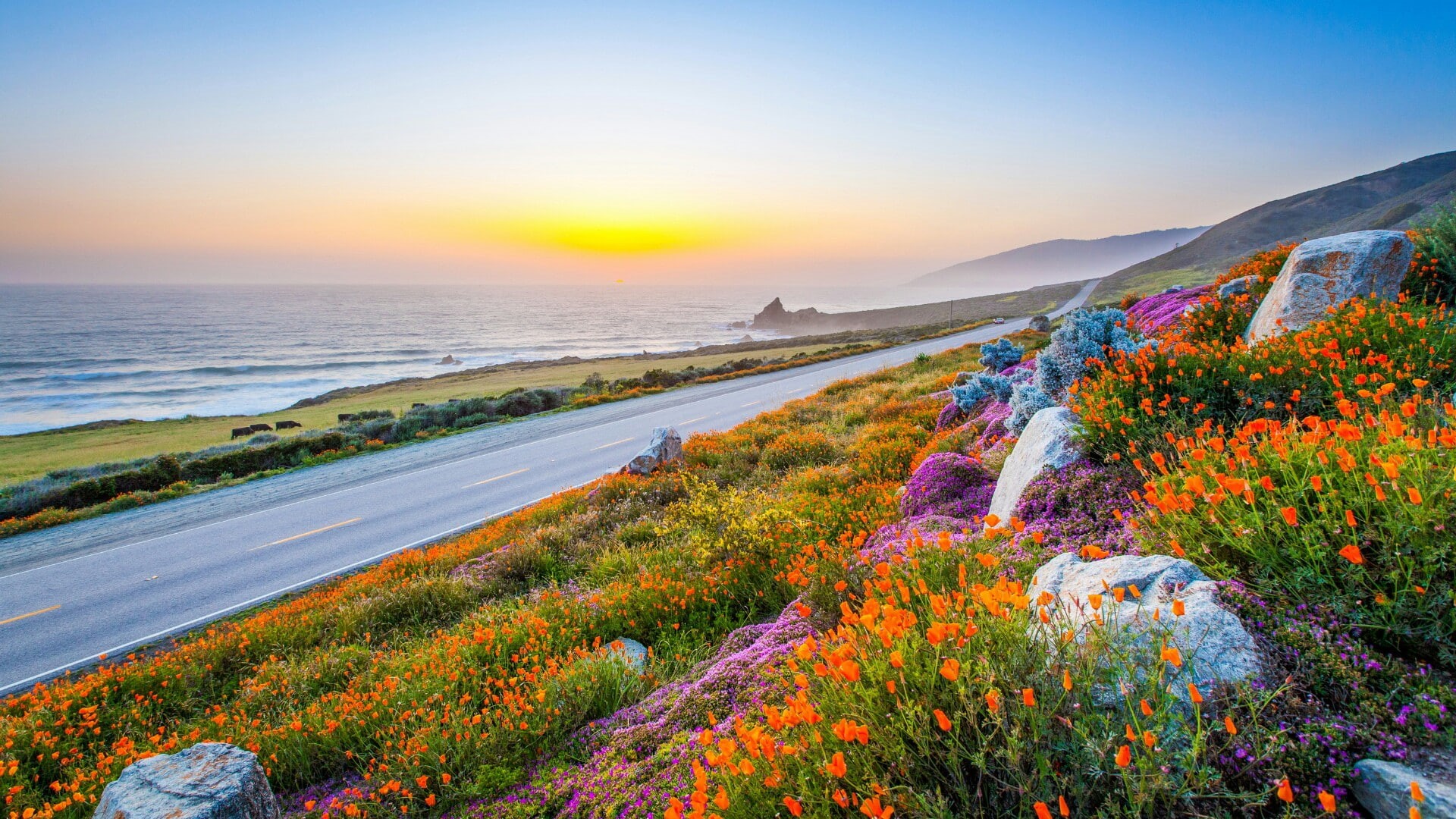 usa, 1080P, sky, united states, wildflowers, road, coast, sunrise, california, HD Wallpaper