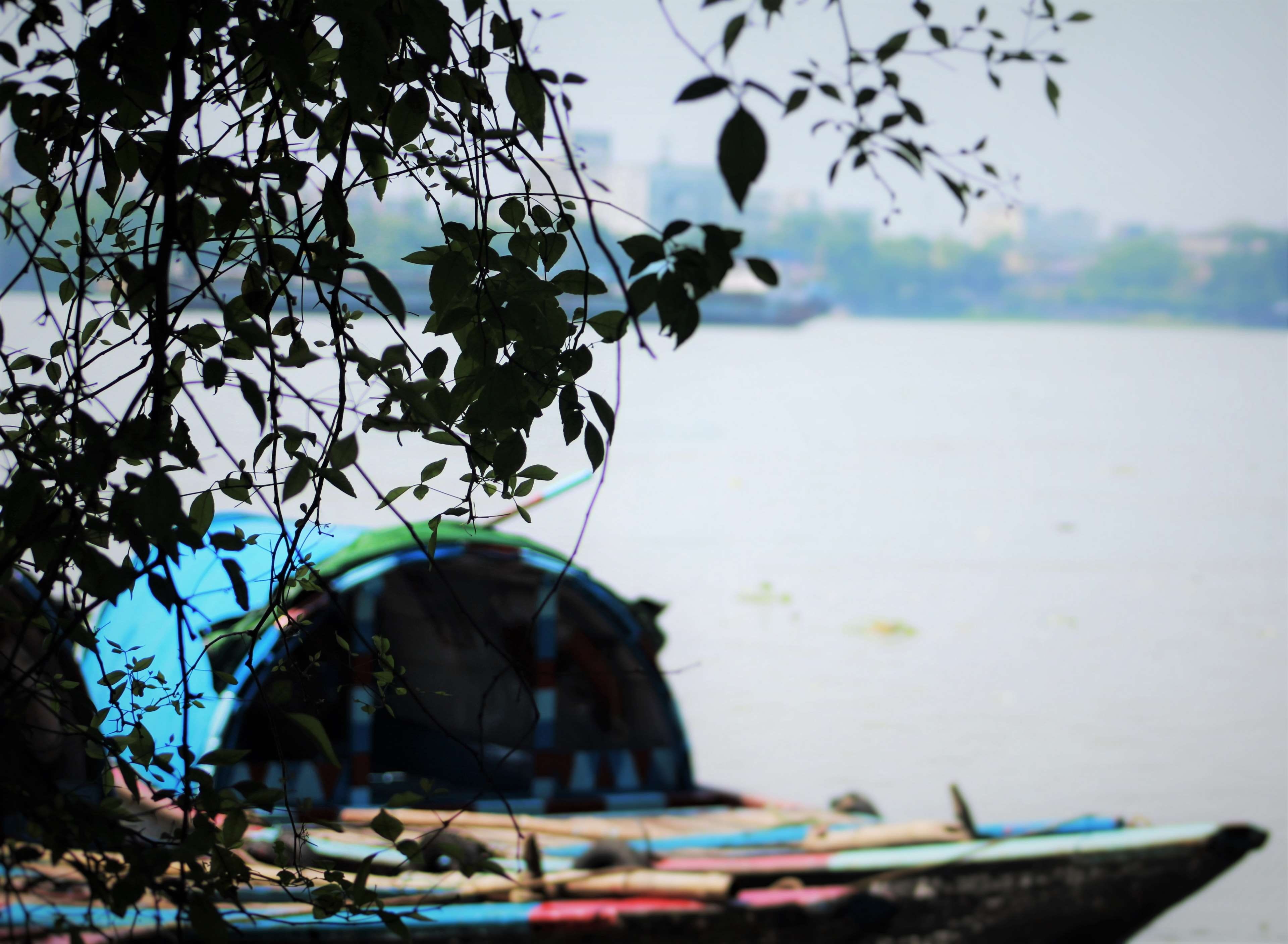 4K, sea, nature, no people, ganga, sky, beauty in nature, growth, kolkata, outdoors, transportation, rowboat, leaf, fishing boat, plant part, branch, plant, HD Wallpaper