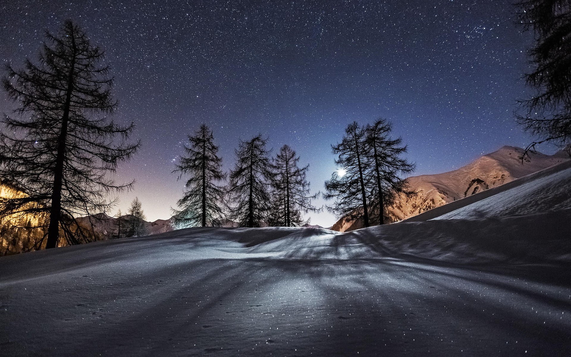 scenics - nature, diminishing perspective, star - space, pine, plant, beauty in nature, tree, trees, direction, winter, snow, 1080P, cold temperature, HD Wallpaper