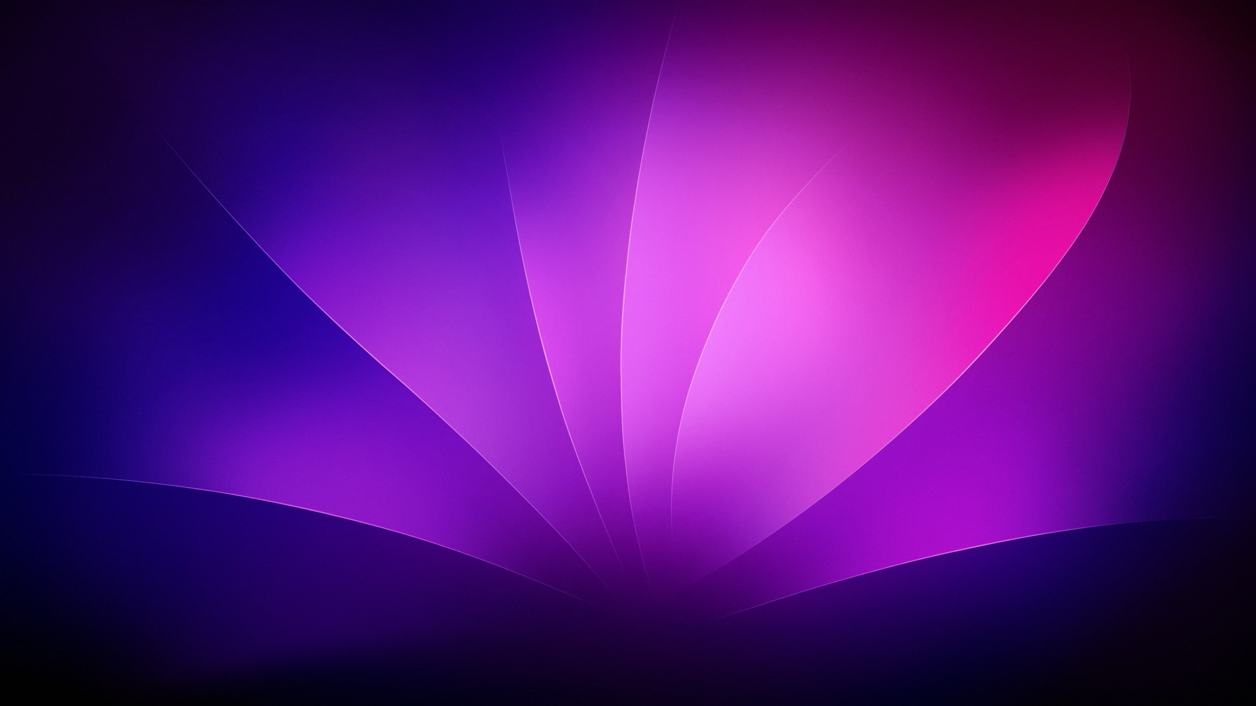Abstract, flower petals, 2K, mac os x, HD Wallpaper