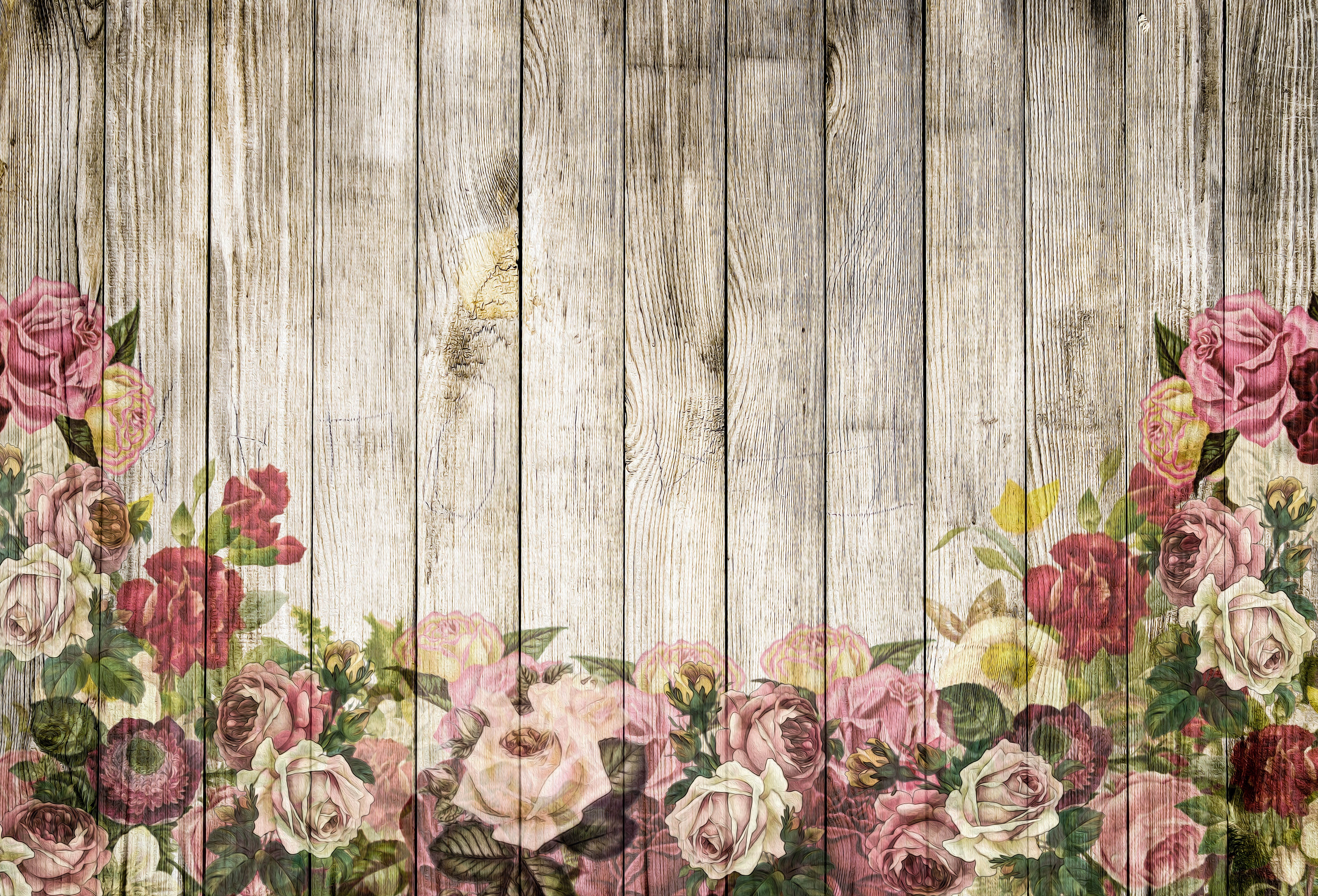 5K, roses, background, wood, HD Wallpaper