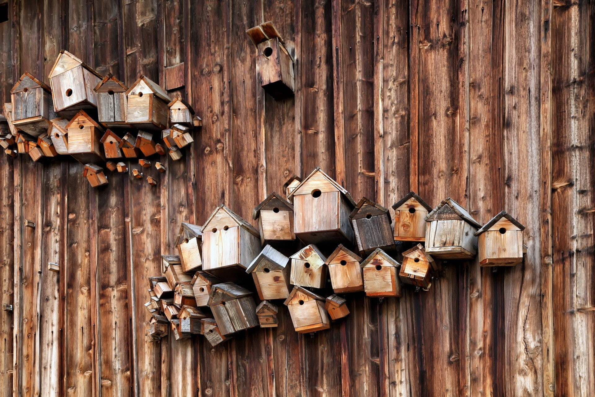 metal, wooden surface, lock, built structure, close-up, birdhouses, hanging, wood, architecture, day, no people, 1080P, large group of objects, planks, HD Wallpaper