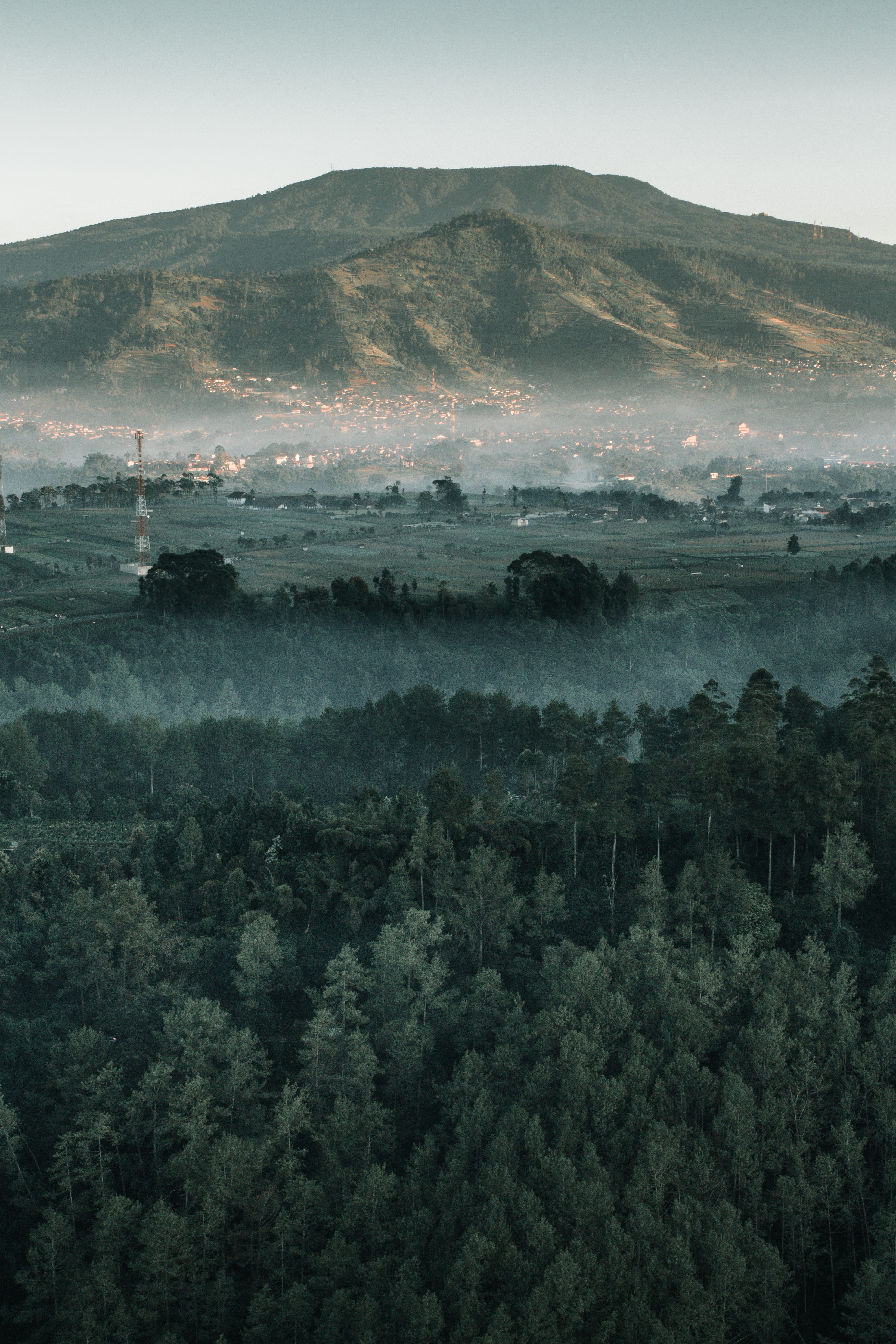 growth, fog, sky, idyllic, home, cloudy, scenics - nature, outdoors, city, lembang, mountain, trees, planet, non-urban scene, high angle view, tranquil scene, Phone HD Wallpaper