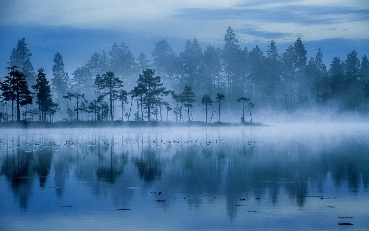 blue, beauty in nature, no people, reflection, tree, plant, leafed, fog, idyllic, lake, hazy, tranquil scene, landscape, waterfront, tranquility, nature, HD Wallpaper