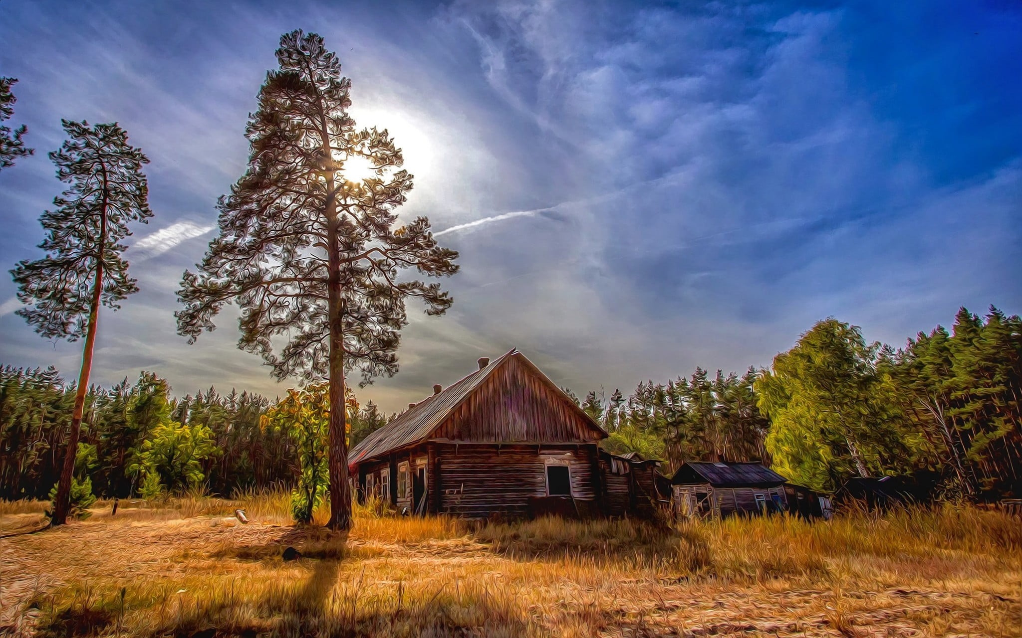 built structure, log, nature, landscape, brown, scenics - nature, 1080P, plant, wooden, cloud - sky, pine tree, fall, cottage, no people, woodland, environment, HD Wallpaper
