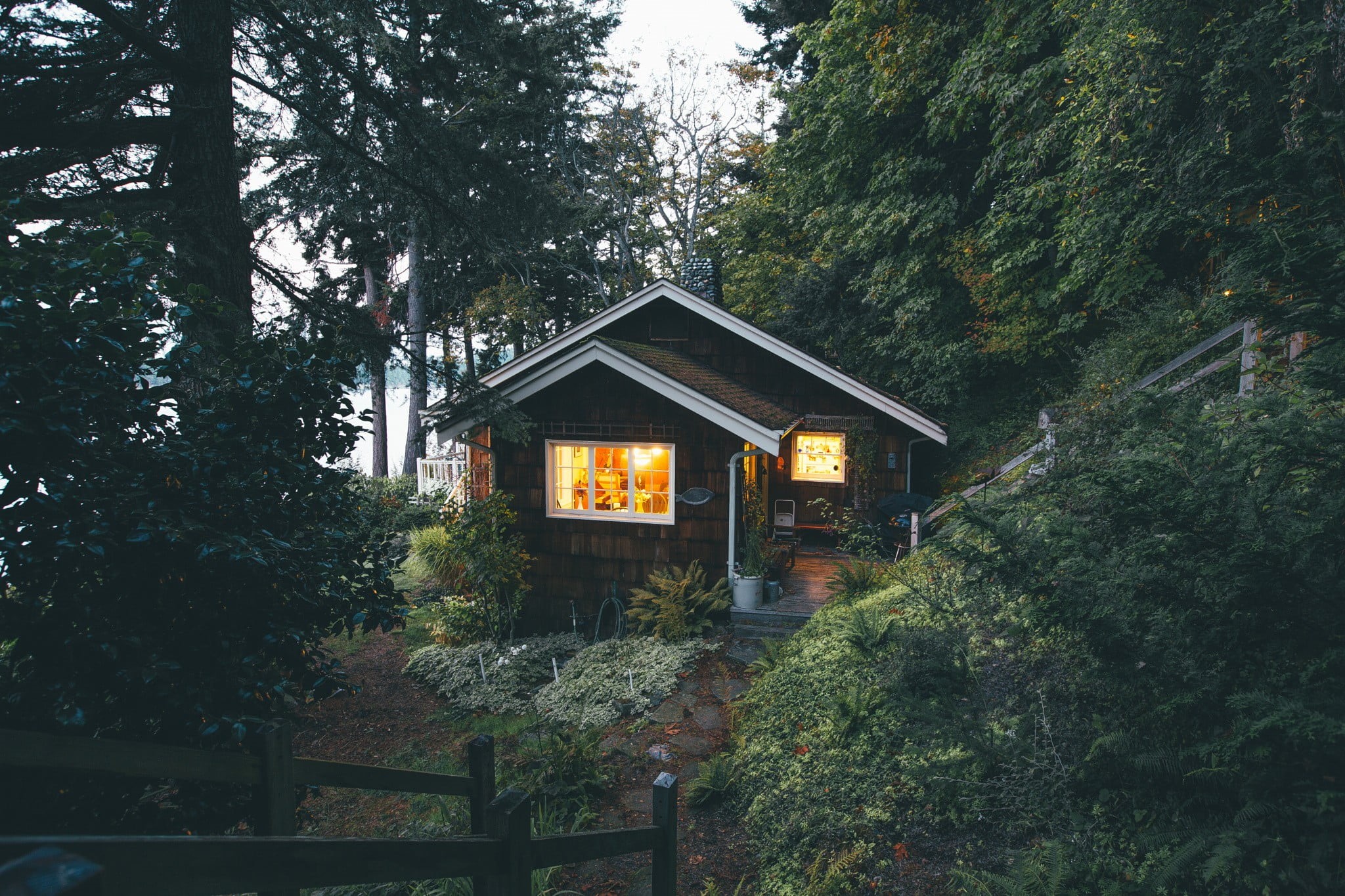 architecture, growth, forest, day, built structure, tranquil scene, green color, lush foliage, no people, black, trees, cabin, 1080P, house, tranquility, HD Wallpaper