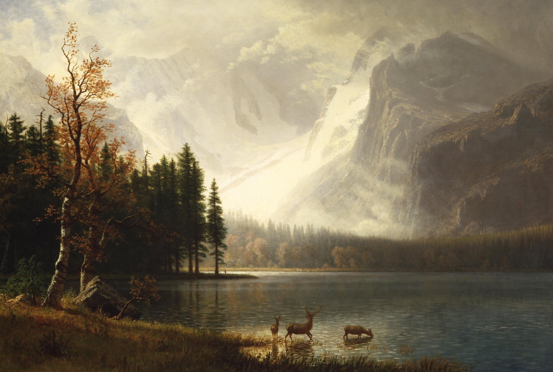 tree, animals, Albert Bierstadt, nature, water, day, tranquility, Estes Park. Colorado. Lake White, illustration, outdoors, animal themes, fog, tranquil scene, HD Wallpaper