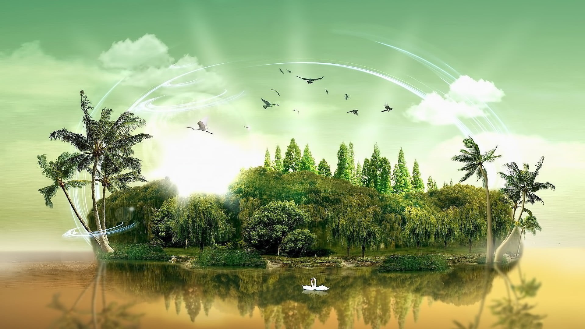  animal wildlife, clouds, plant, vertebrate, palm trees, animals in the wild, no people, birds, beauty in nature, island, digital, nature, bird, HD Wallpaper