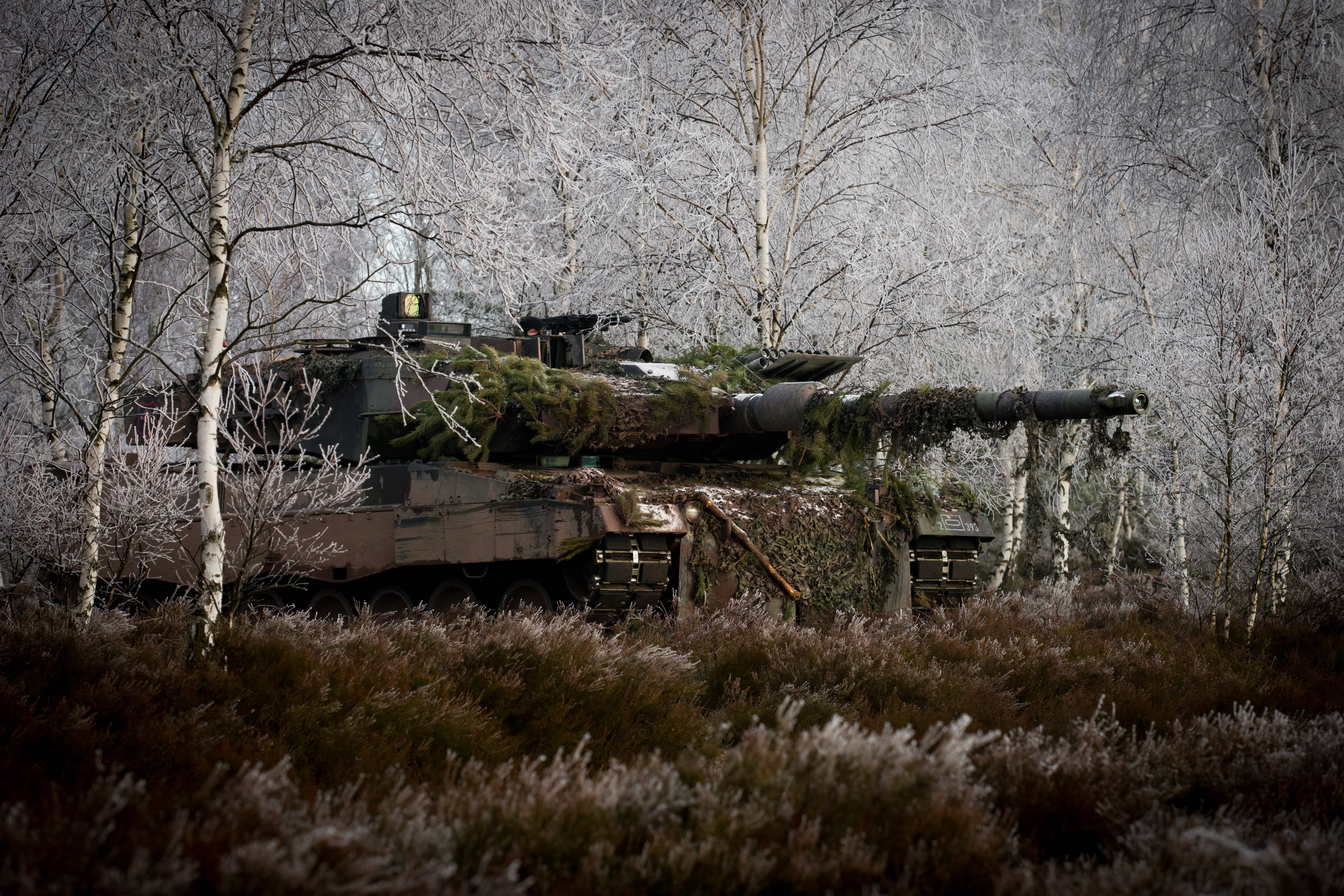 deterioration, plant, no people, ruined, nature, transportation, growth, damaged, field, bare tree, Bundeswehr, swamp, outdoors, obsolete, run-down, tree, HD Wallpaper