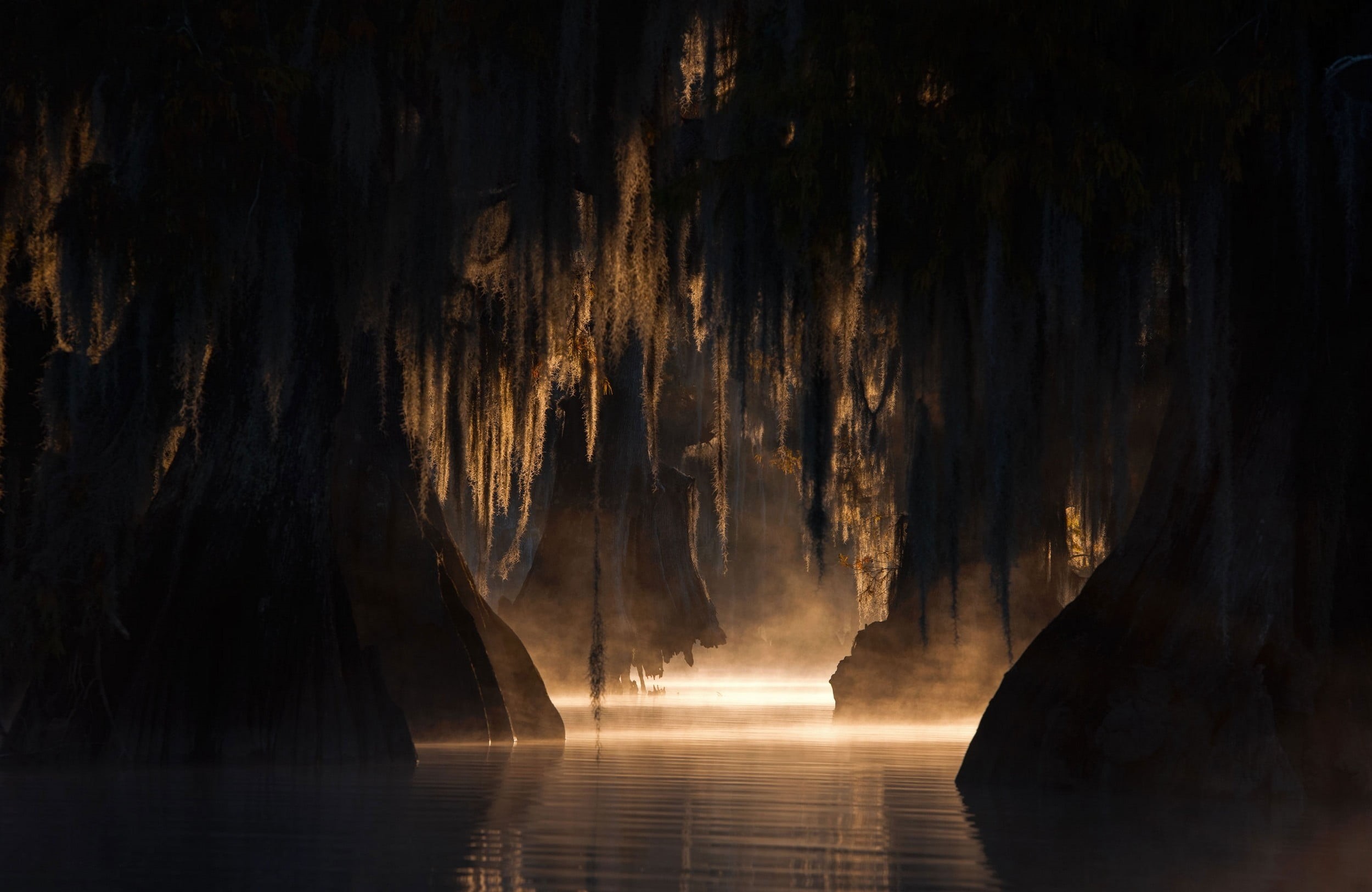 tranquil scene, night, table, morning, black, sunlight, cave, reflection, illuminated, swamp, fog, trees, mist, silhouette, brown, no people, tree, nature, HD Wallpaper