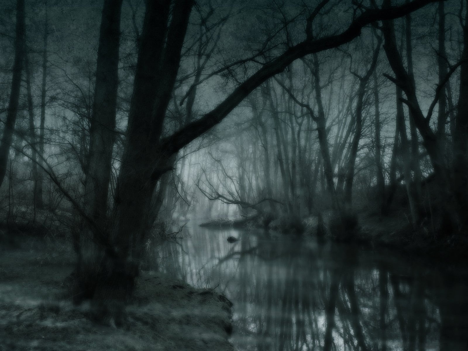 tranquil scene, beauty in nature, water, forest, woodland, tree, lake, black, no people, tranquility, 720P, Swamp, Nature, branch, Artistic, spooky, bare tree, HD Wallpaper