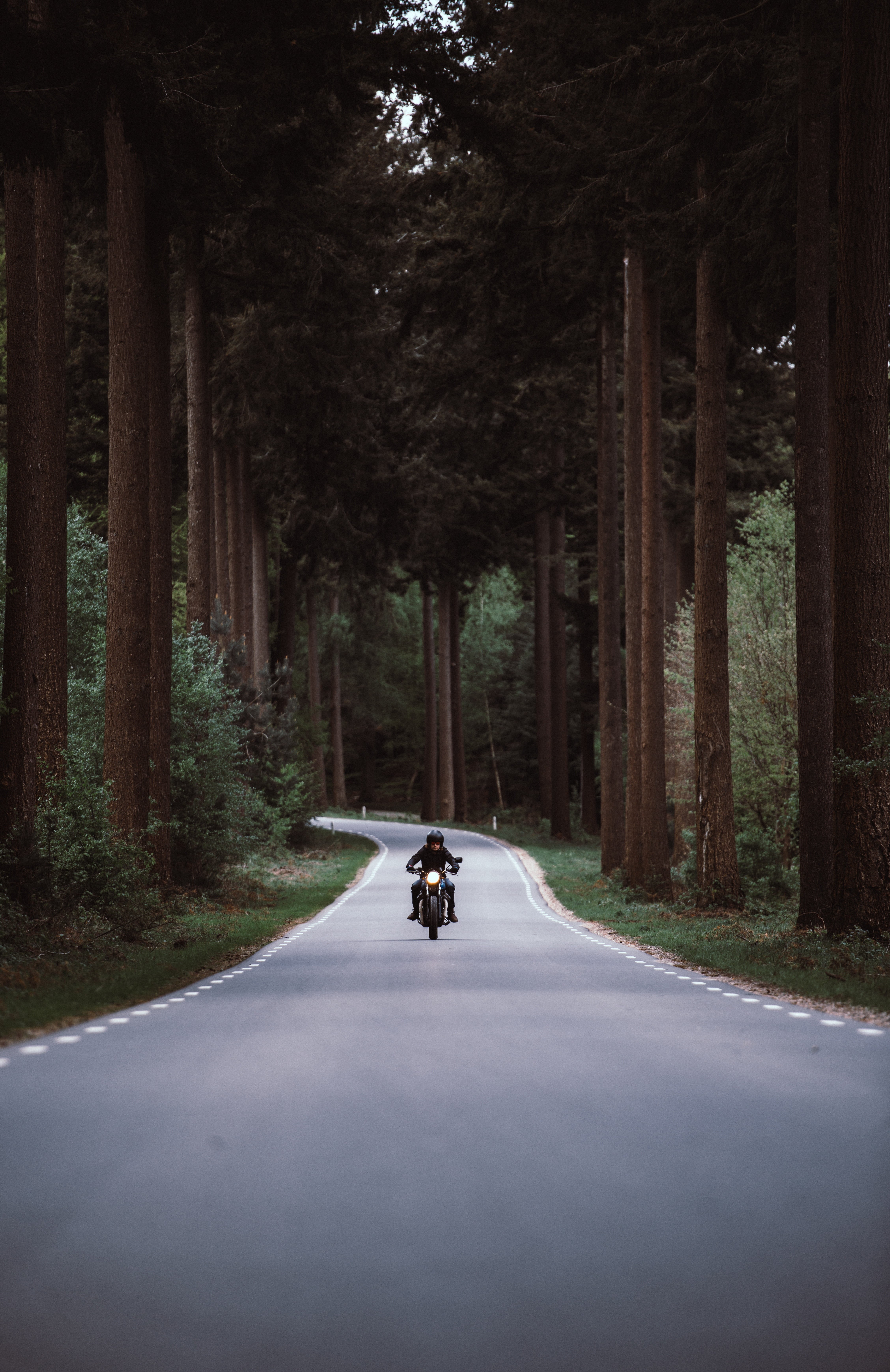 women, cyclist, footpath, road, lifestyles, single Lane Road, recreational Pursuit, people, sport, 5K, men, the way forward, relaxation Exercise, activity, Phone HD Wallpaper