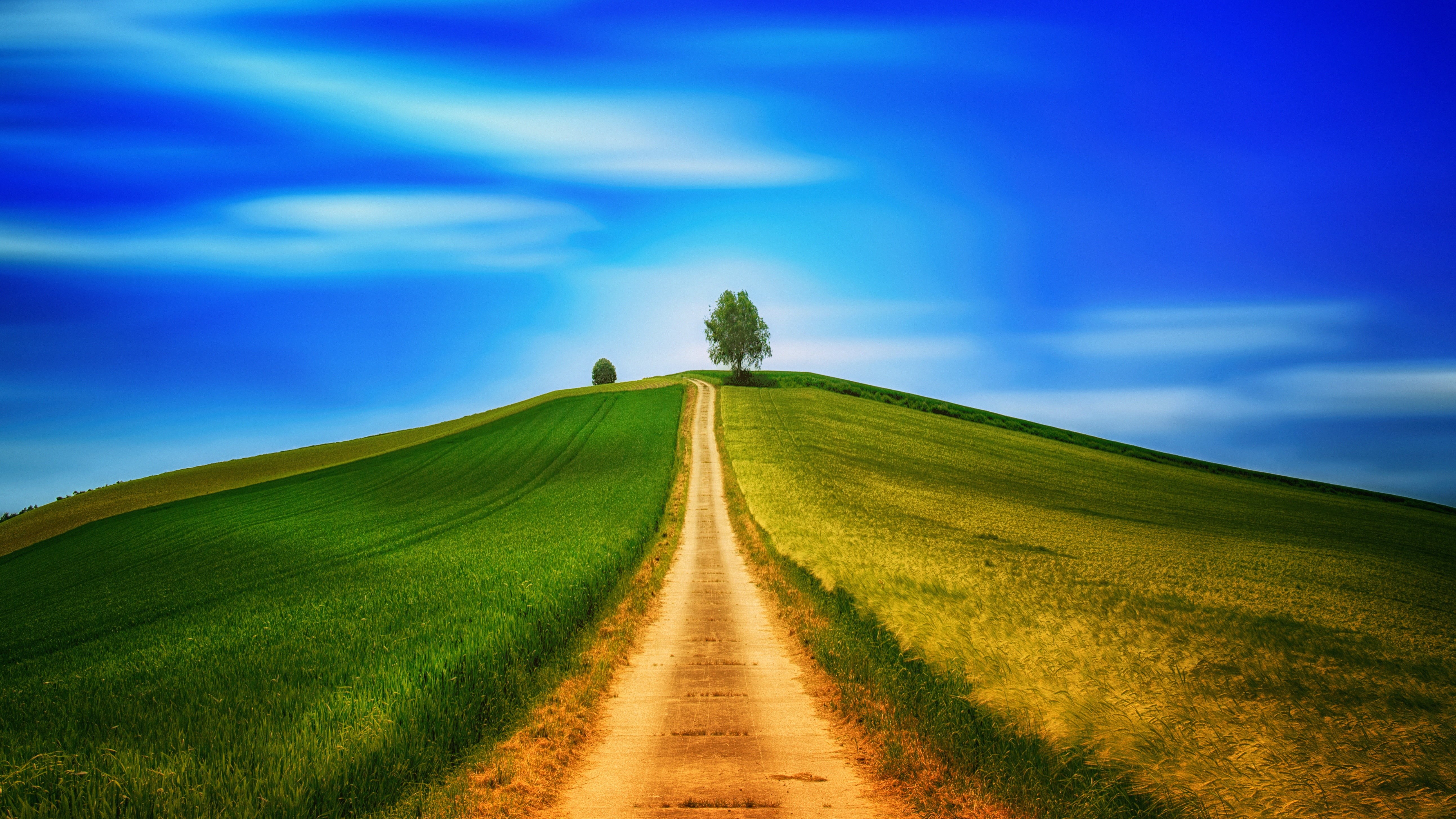 val dOrcia, green Color, tree, dirt, idyllic, springtime, road, plant, land, season, siena Province, rolling Landscape, footpath, trail, rural Scene, color Image, HD Wallpaper