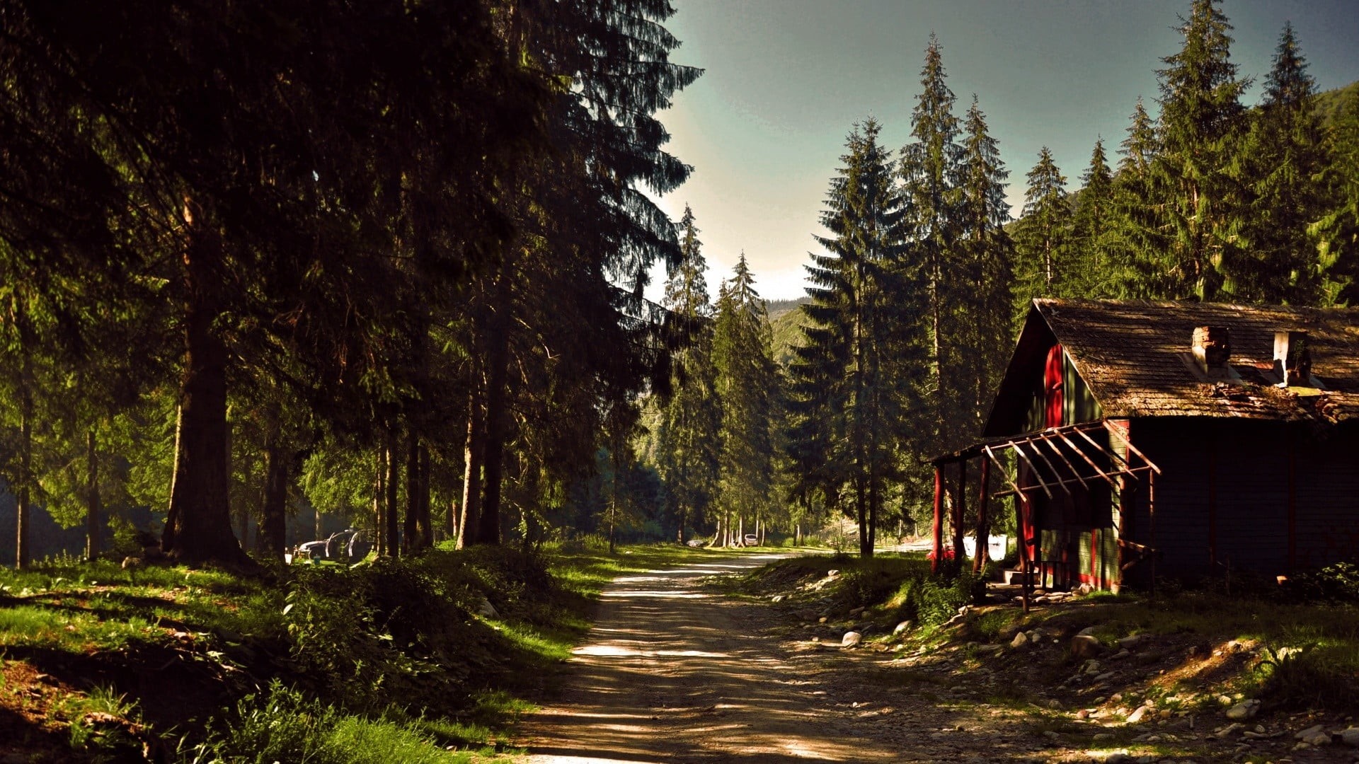 tranquility, rocks, day, spruce, tree, coniferous tree, outdoors, forest, path, pine tree, house, footpath, surrounded, road, direction, photography, landscape, HD Wallpaper
