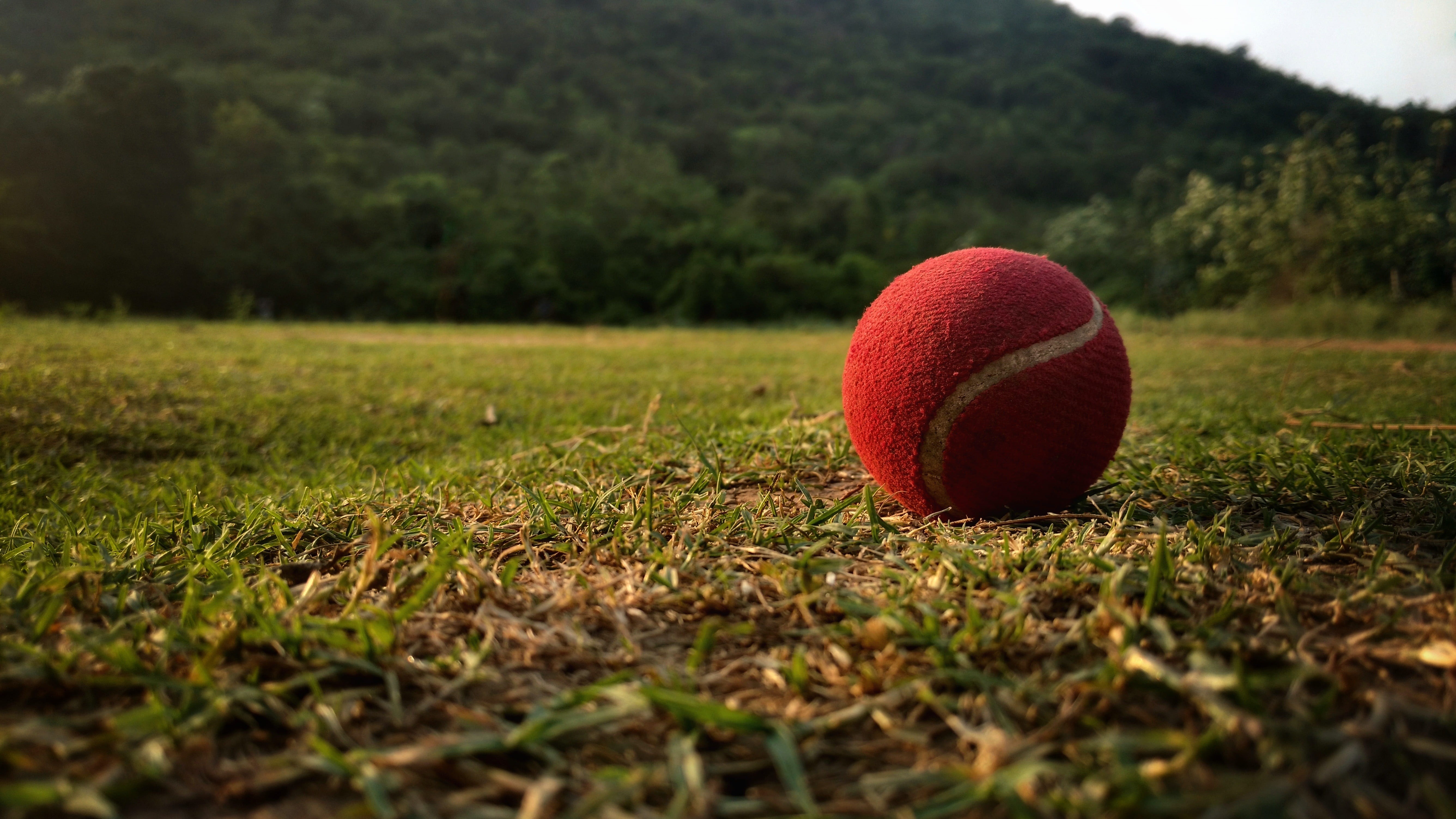 daytime, sphere, plant, 5K, no people, ball, nature, tress, leisure activity, tennis, tree, environment, land, single object, white, sport, selective focus, HD Wallpaper