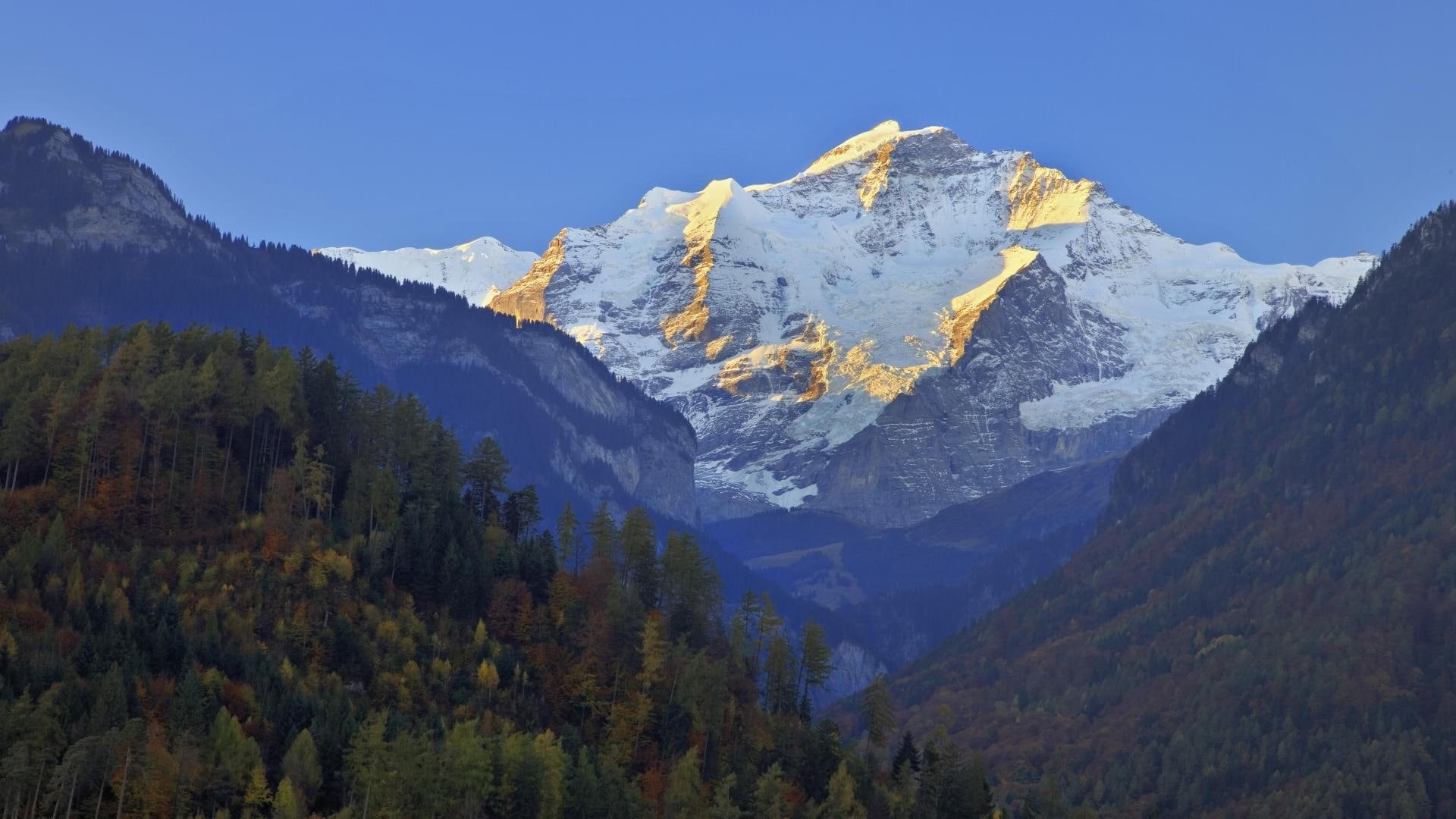 alps, jungfrau, 1080P, green, tress, mountain, switzerland, nature, 1920x1080, europe, HD Wallpaper