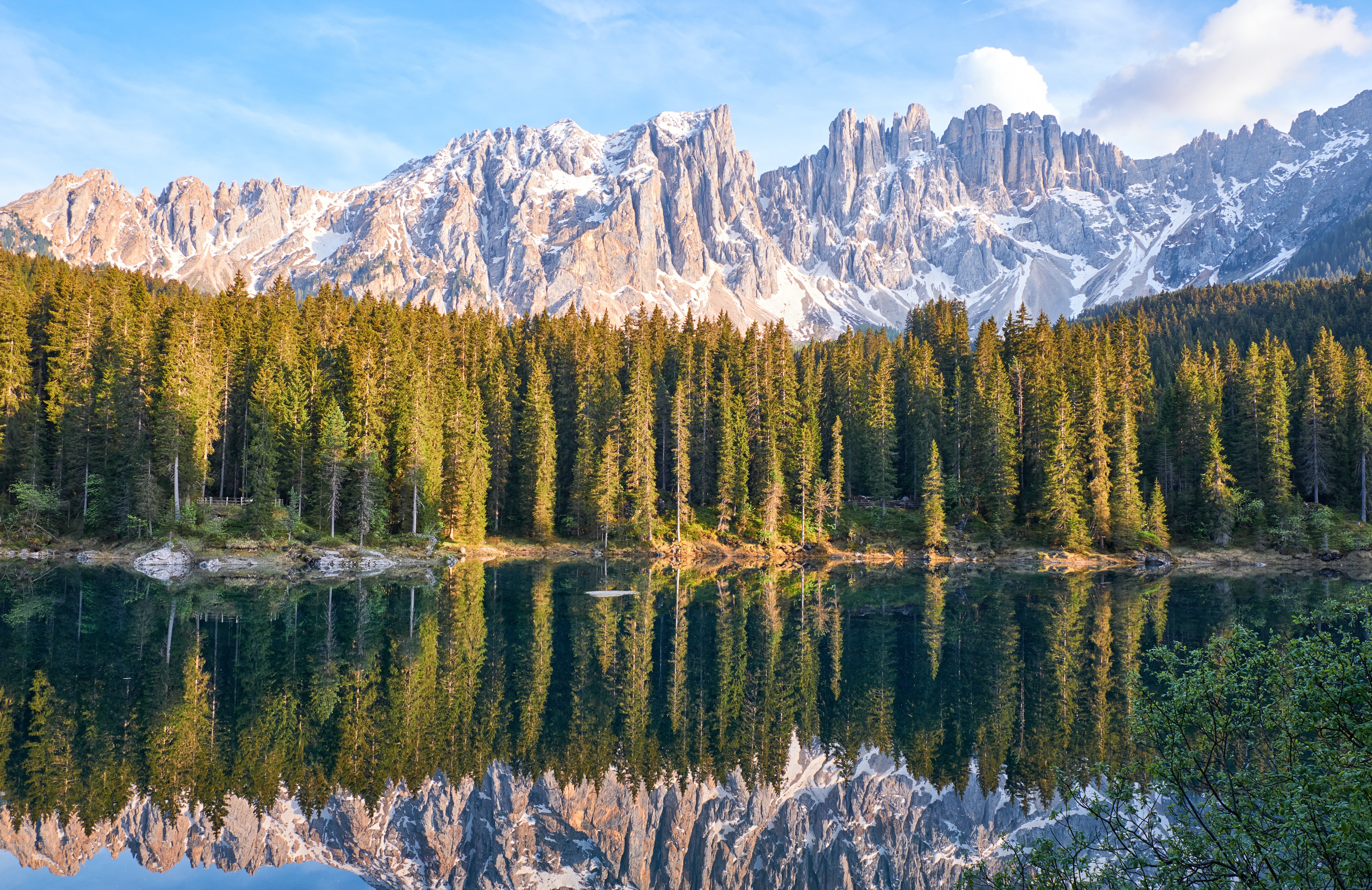 near, tranquil scene, beauty in nature, mountain peak, waterfront, forest, mountain, landscape, mountains, 5K, tranquility, lake, growth, idyllic, green, HD Wallpaper