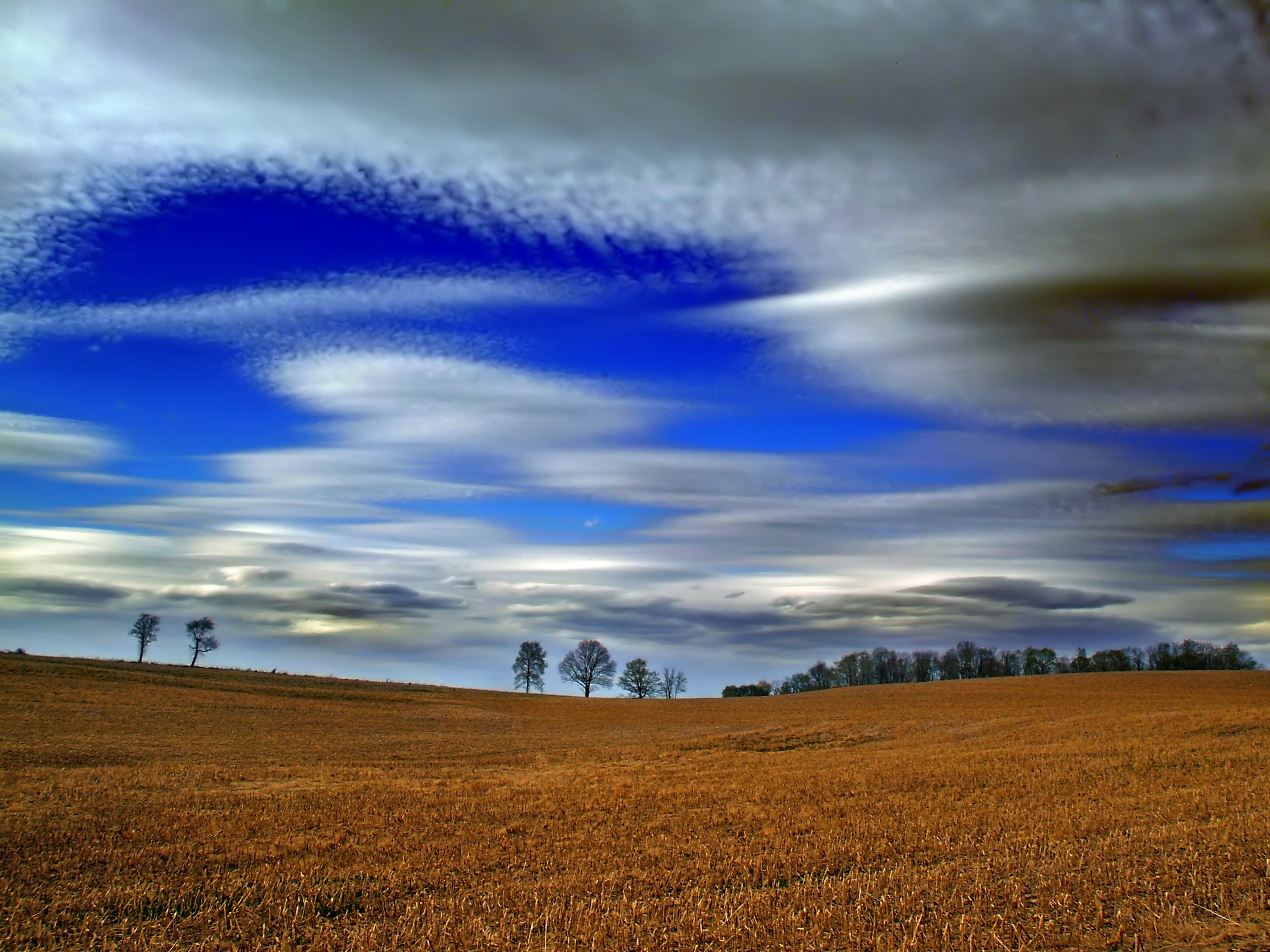 altocumulus, cloud - Sky, spring, scenics, Sandyston Township, low light, nature, land, field, non-Urban Scene, summer, blue, clouds, meadow, weather, Sussex County, HD Wallpaper