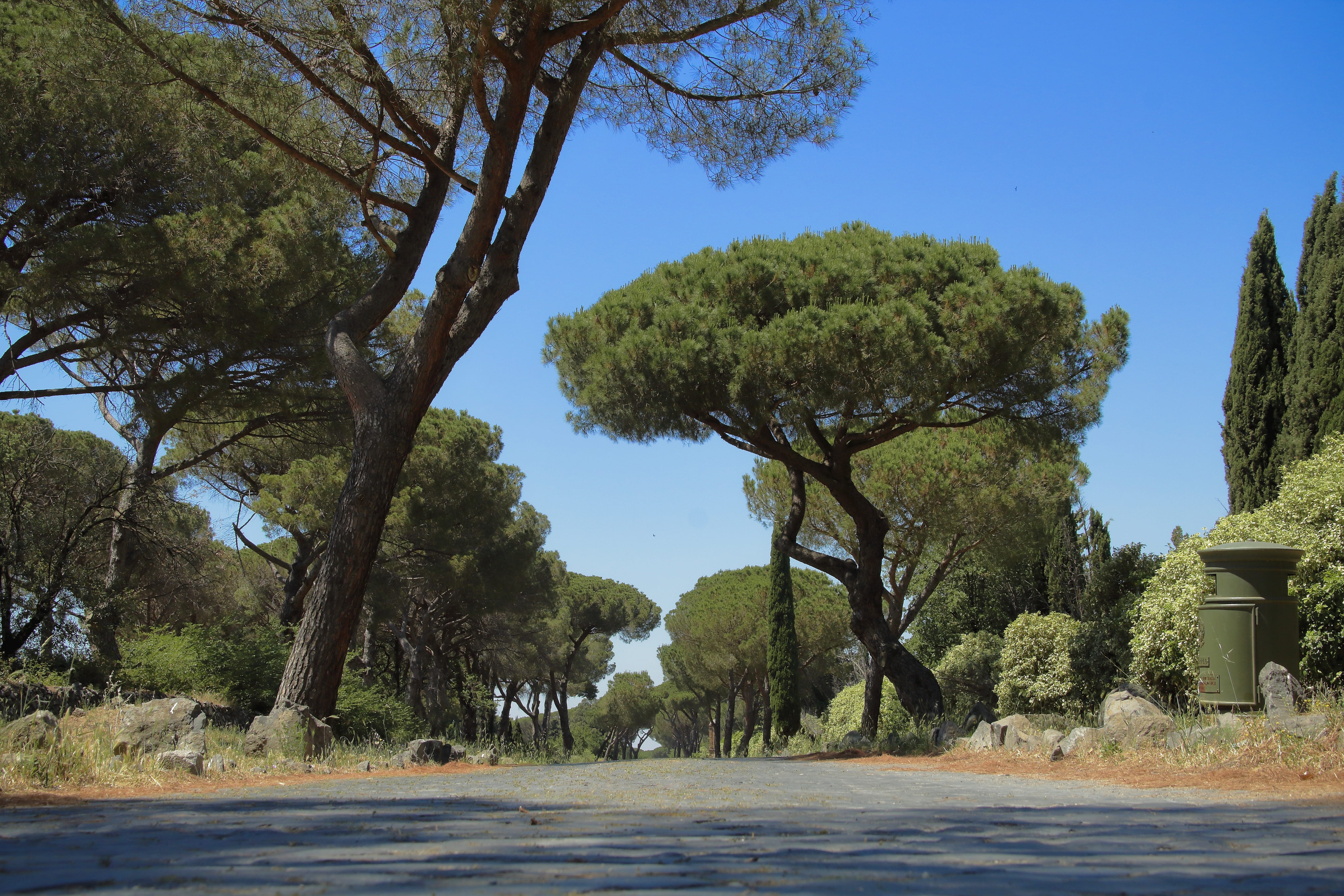 green color, sky, ancient, scenics - nature, tress, park, day, water, via appia antica, nature, blue, outdoors, no people, 5K, land, beauty in nature, HD Wallpaper