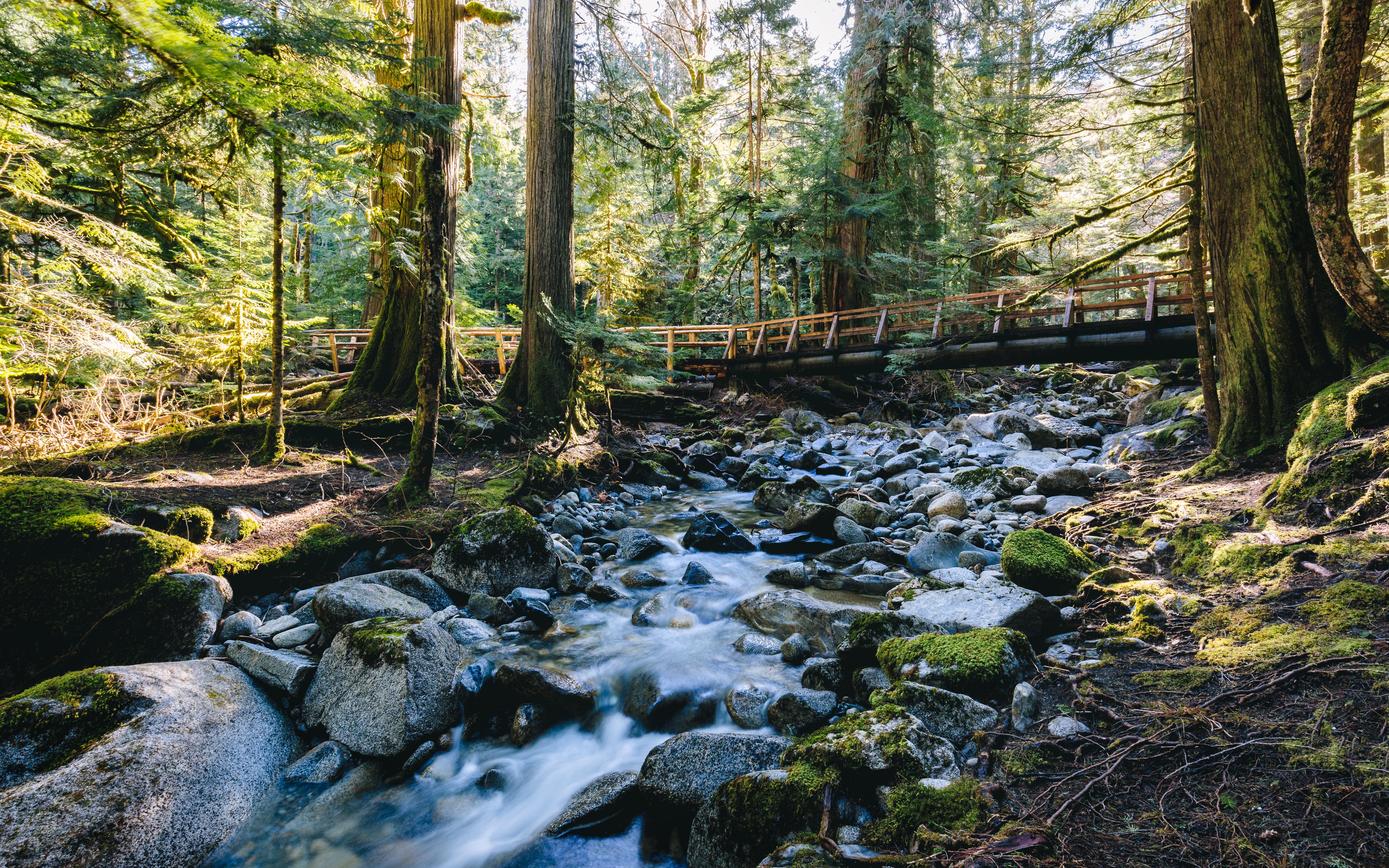 Deception, river, outdoors, tress, tree, green, trees, leaved, bridge, woodland, 35mm, moss, scenics, landscape, Time Of Need, stream, rock - Object, Canon EF, HD Wallpaper