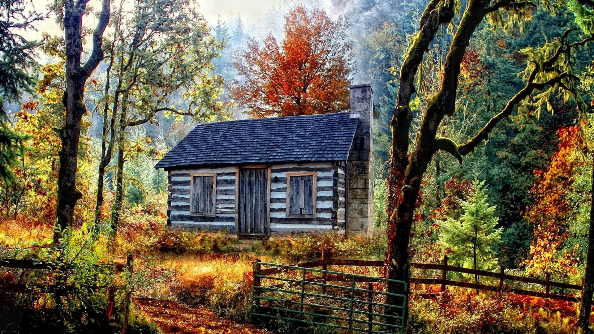 nature, hd, cabin, forest, tress, 1080P, HD Wallpaper