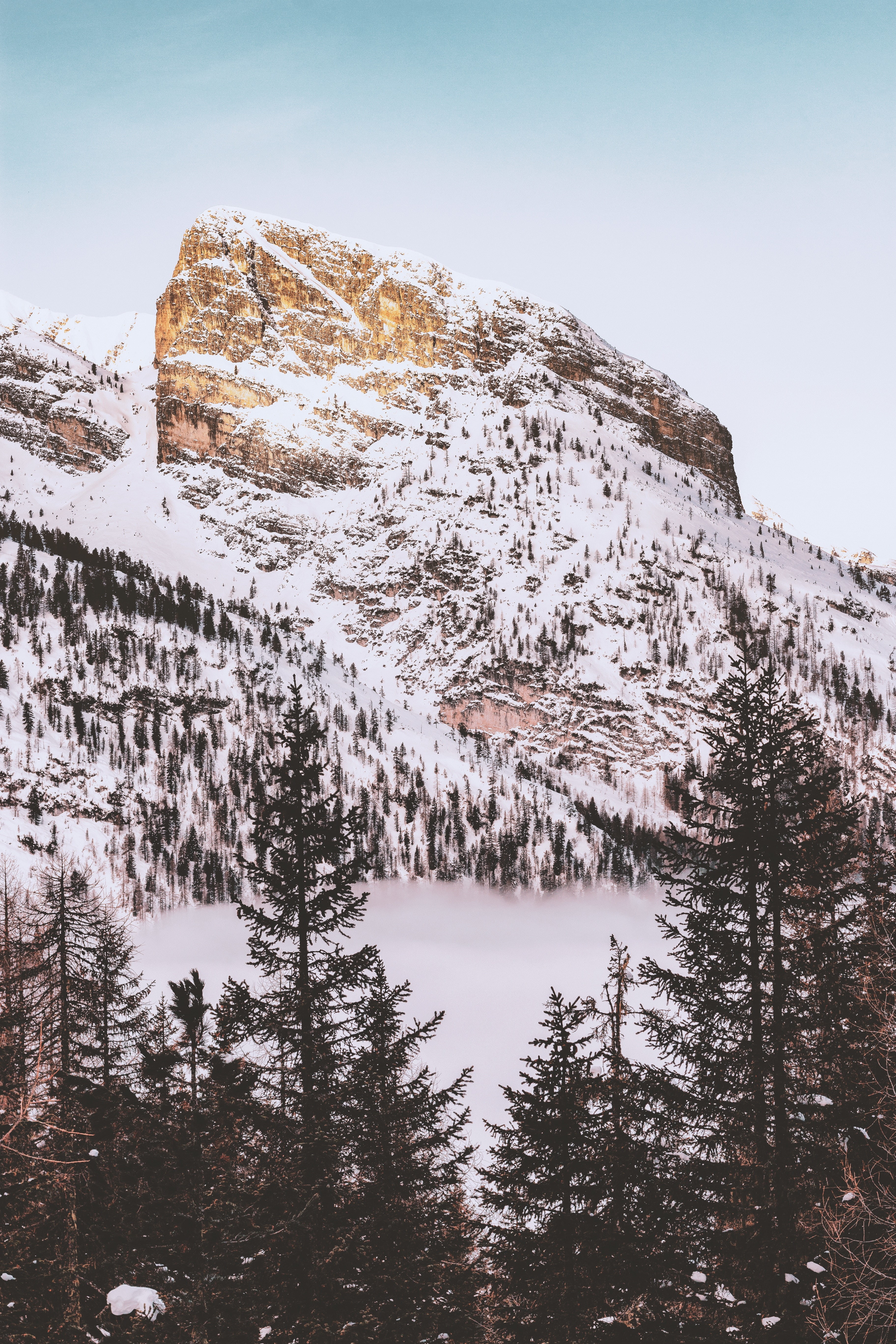 beauty in nature, trees, forest, nature, environment, mountains, snowcapped mountain, tree, cold temperature, pine tree, pinaceae, sky, no people, winter, Phone HD Wallpaper